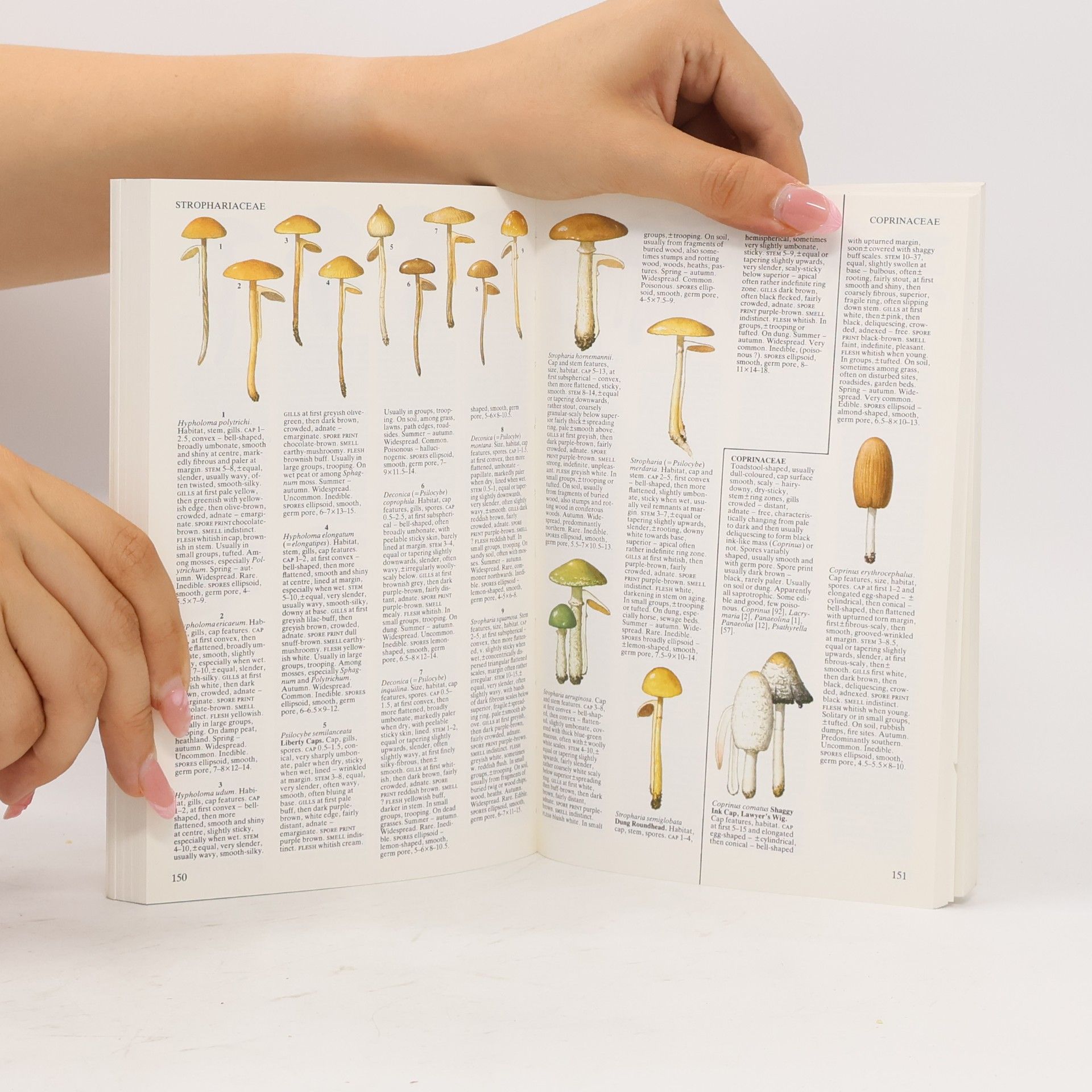 Stefan Buczacki Collins New Generation Guide to the Fungi of Britain and Europe