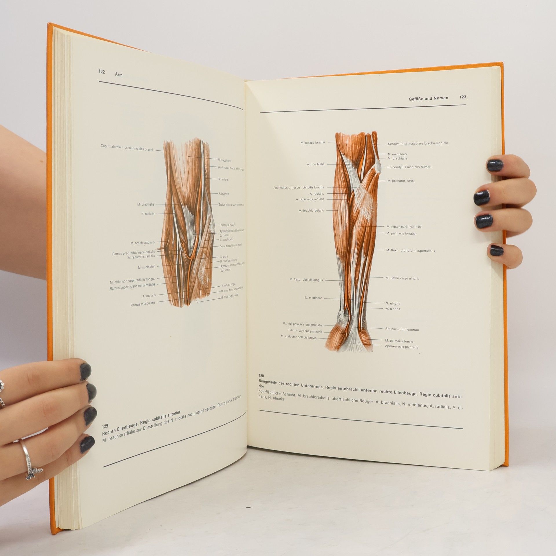 Rolf Bertolini Atlas der Anatomie des Menschen