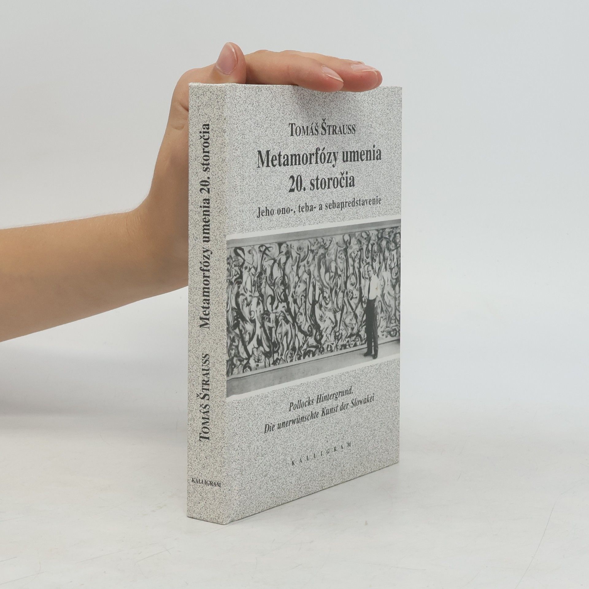 Tomáš Štrauss Metamorfózy umenia 20. storočia
