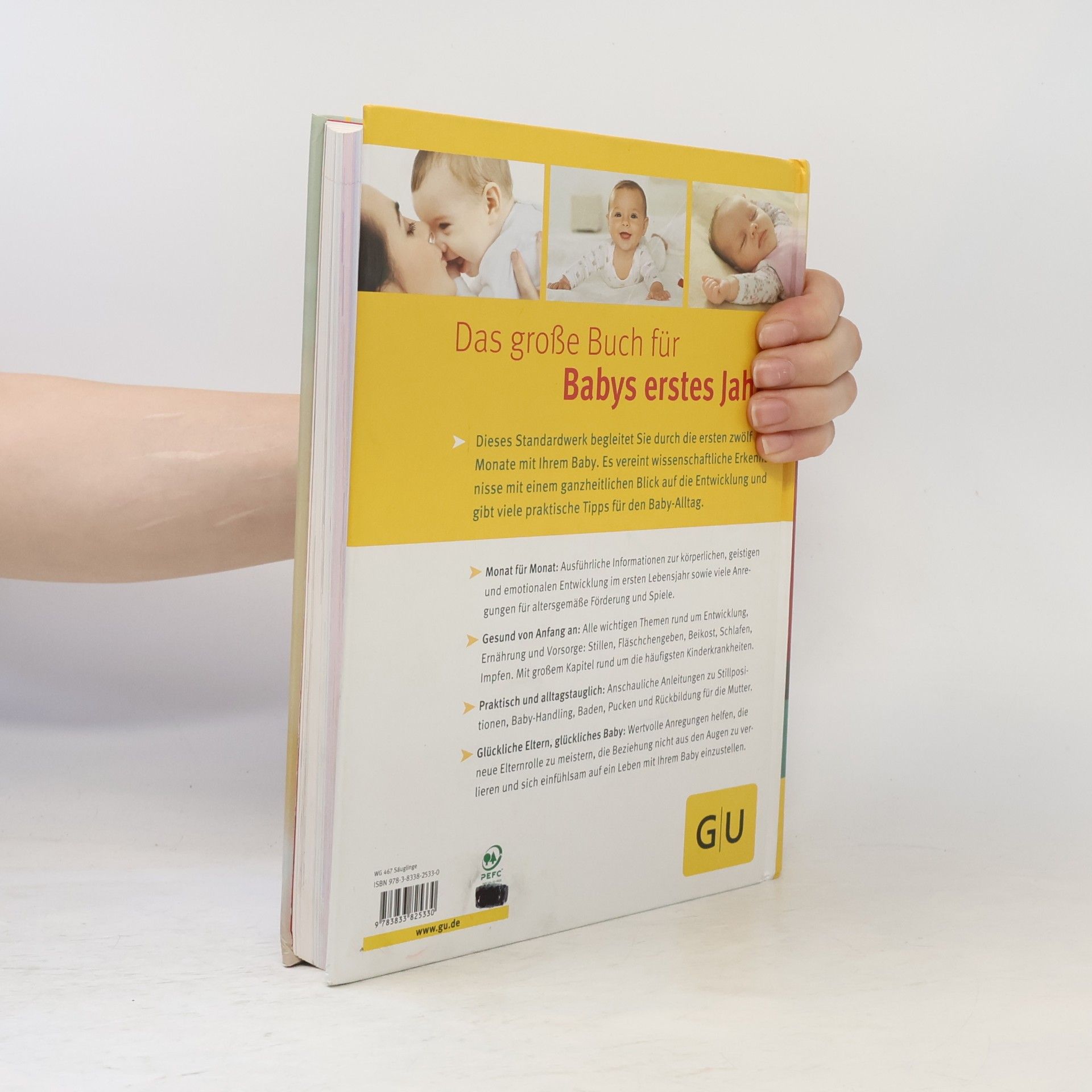 Stephan Nolte Das große Buch für Babys erstes Jahr