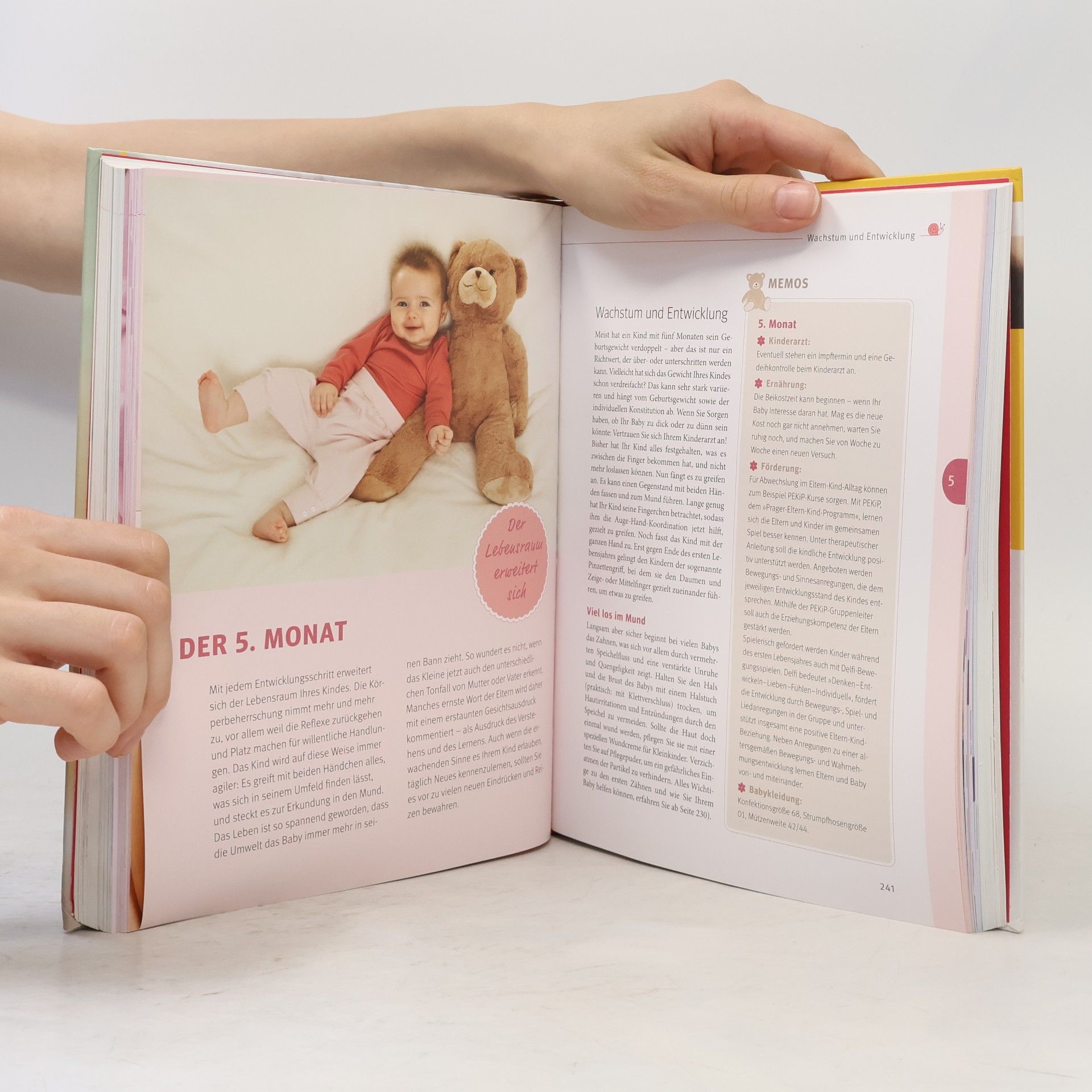 Stephan Nolte Das große Buch für Babys erstes Jahr