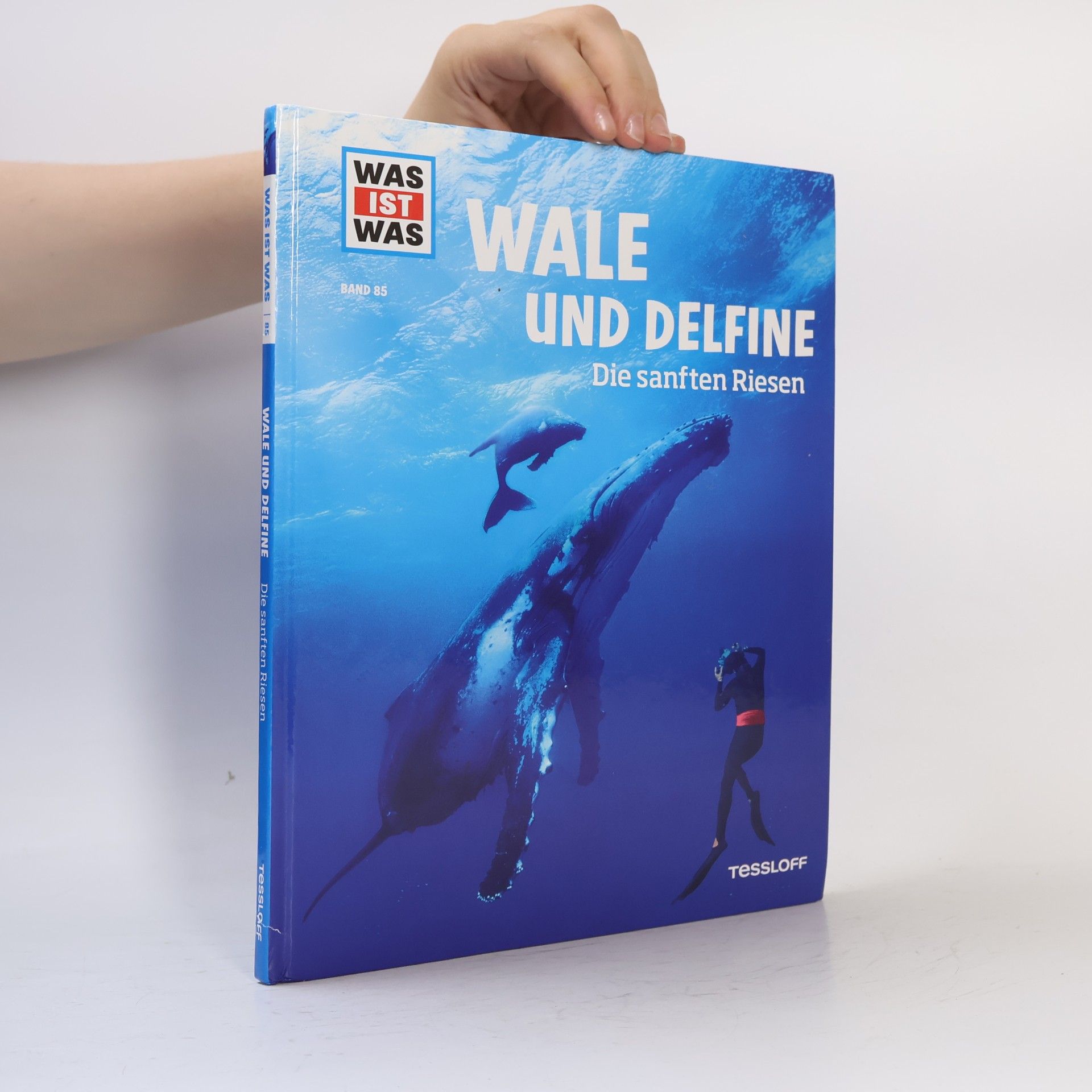 Manfred Baur Wale und Delfine