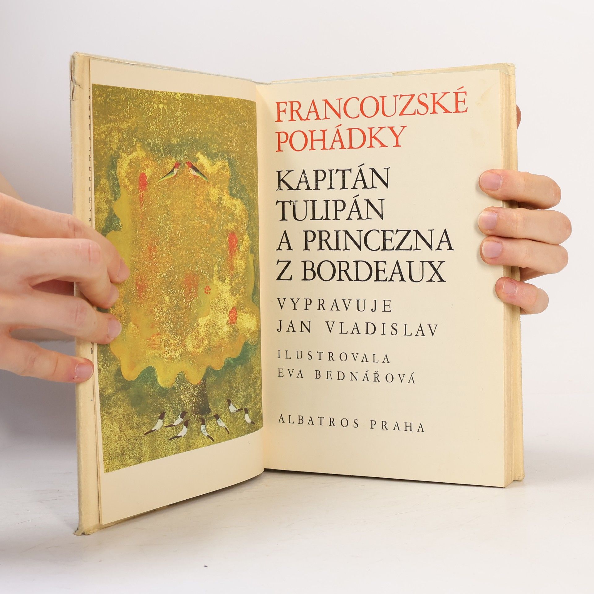 Jan Vladislav Kapitán Tulipán a princezna z Bordeaux