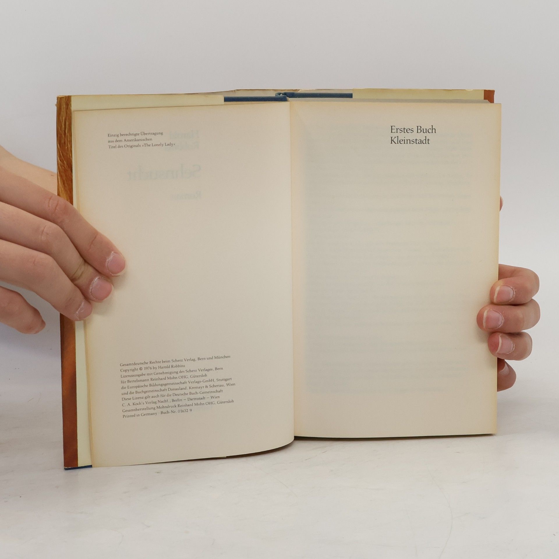 Harold Robbins Sehnsucht