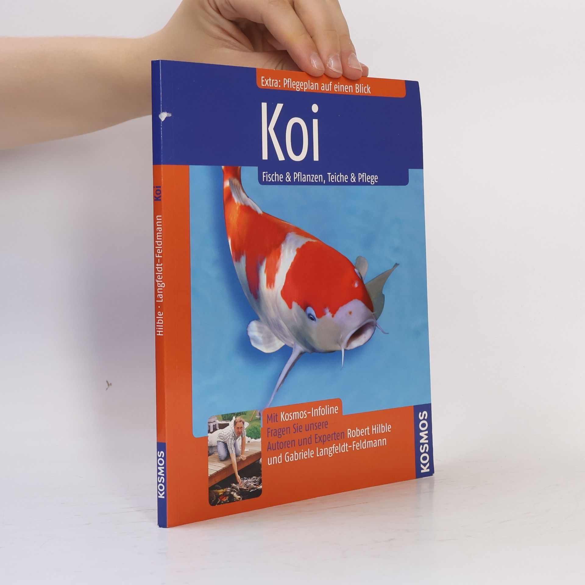 Gabriele Langfeldt-Feldmann Koi