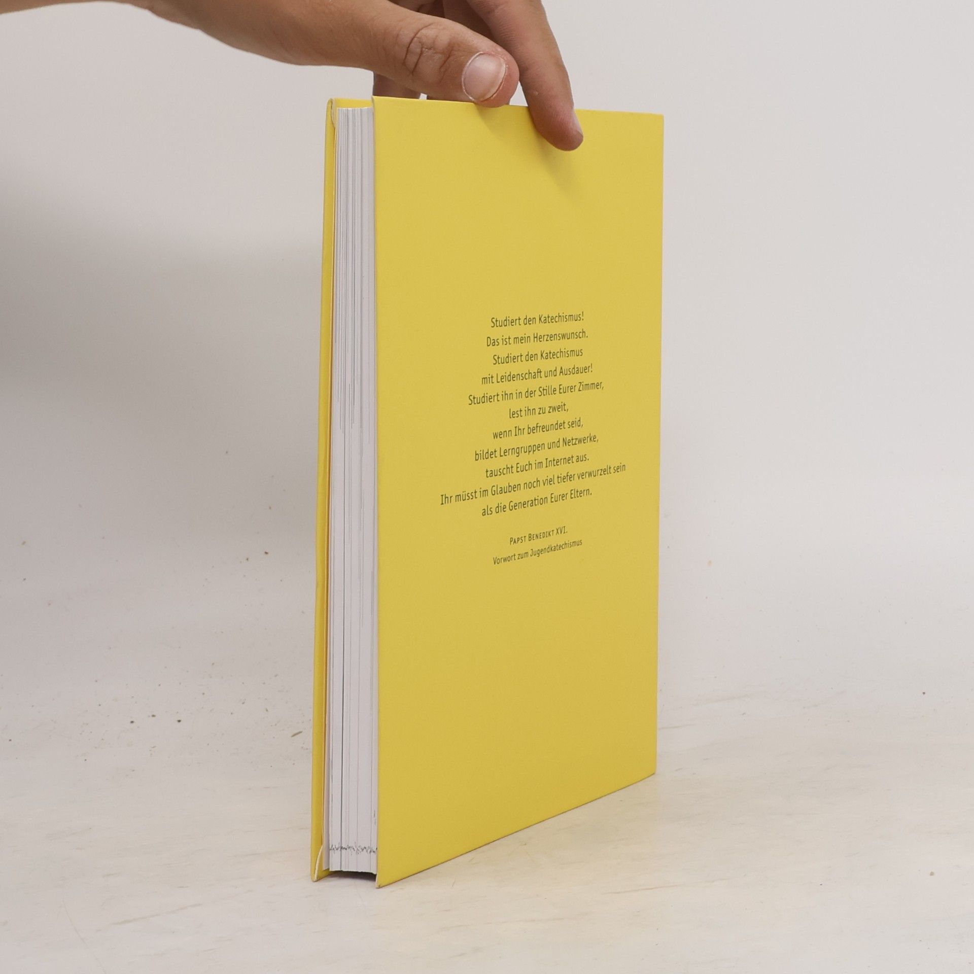 Various authors Youcat