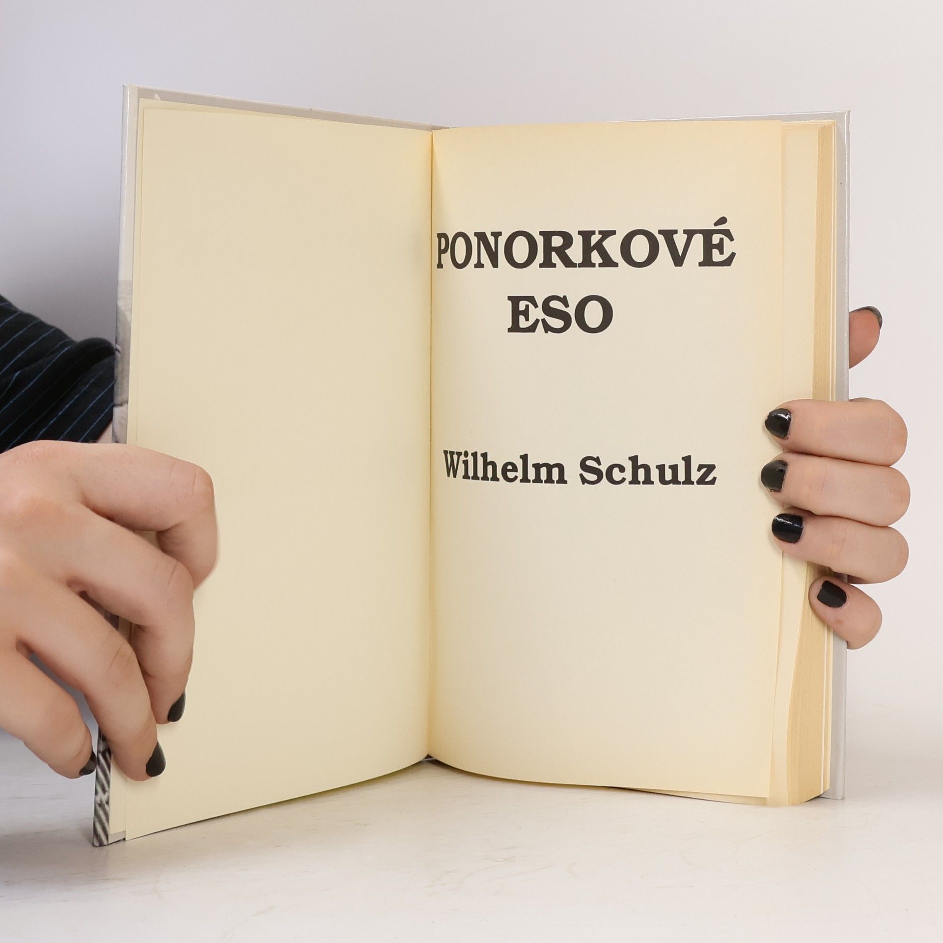 Georg-Wilhelm Schulz Ponorkové eso