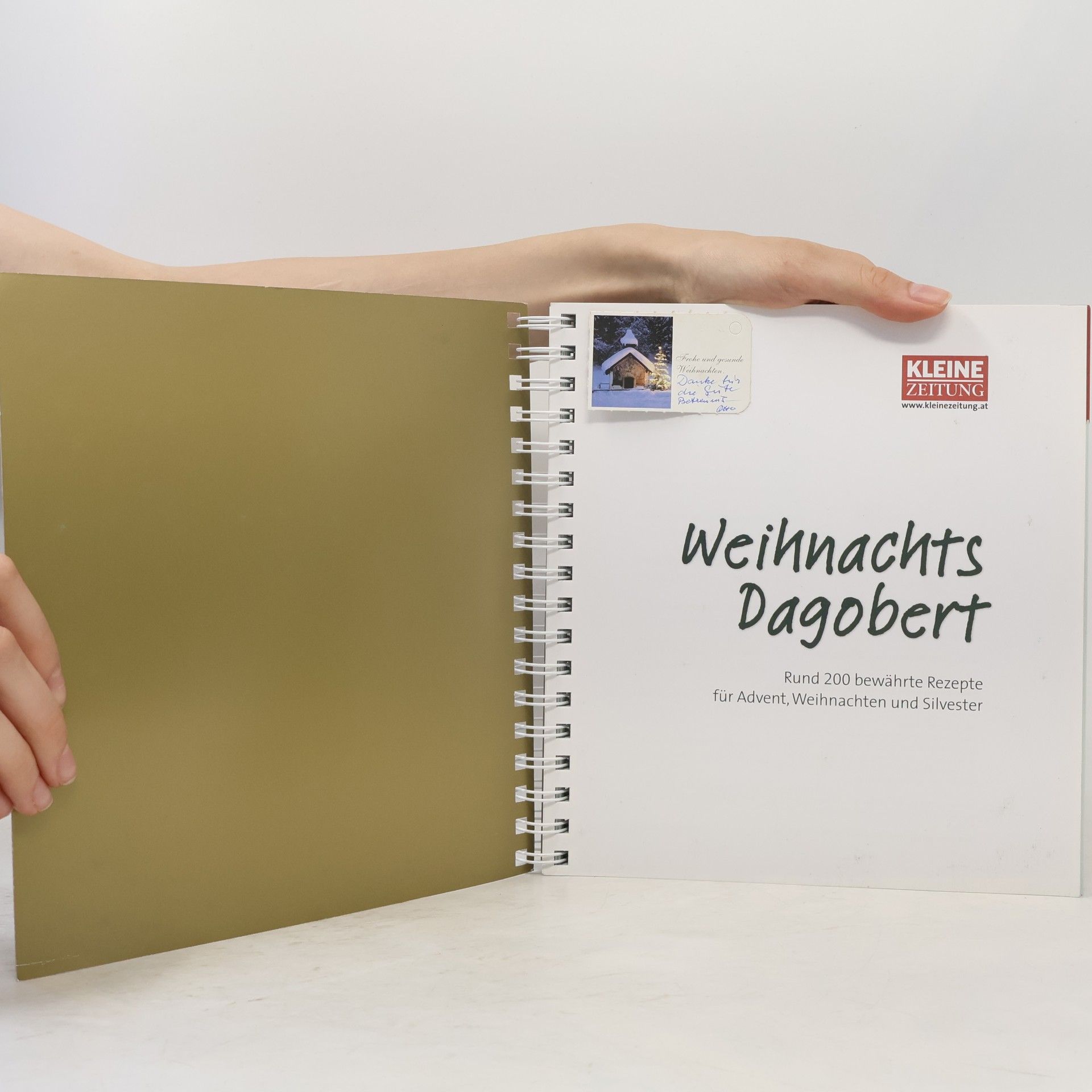 Elisabeth Gallaun-Enzinger Weihnachts Dagobert