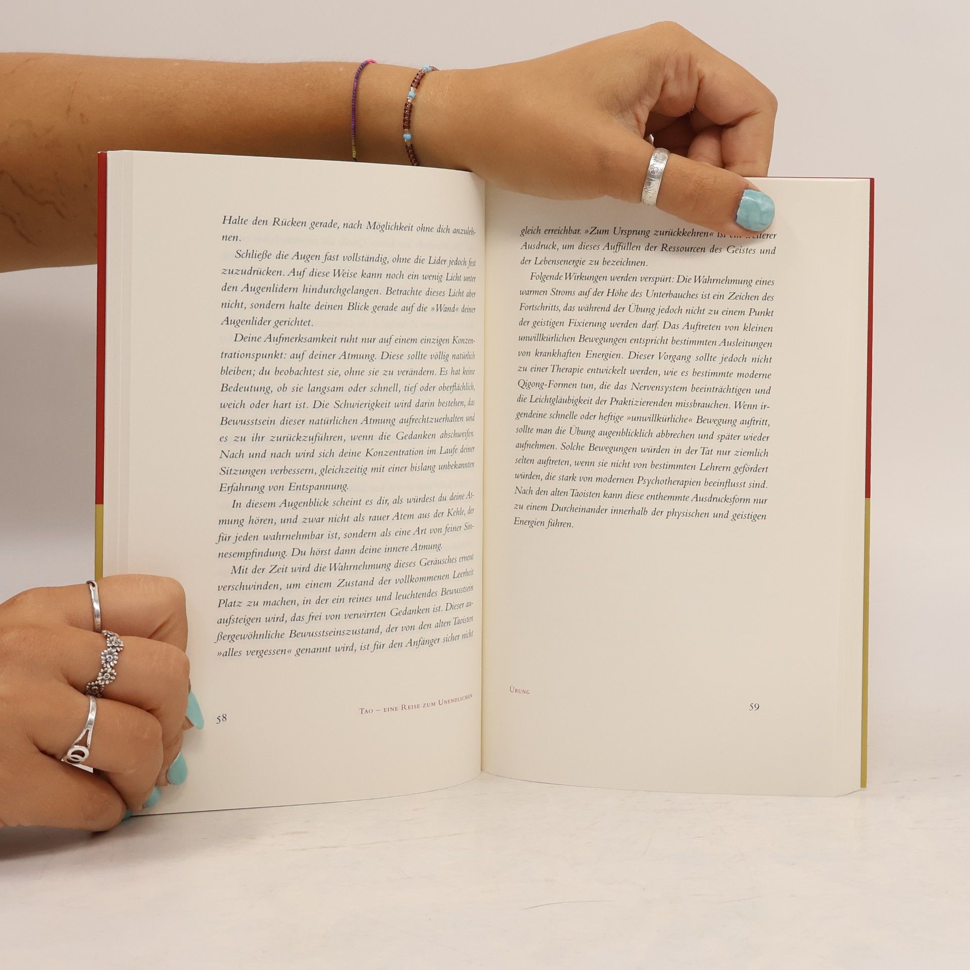 Gérard Edde Das Tao-Handbuch