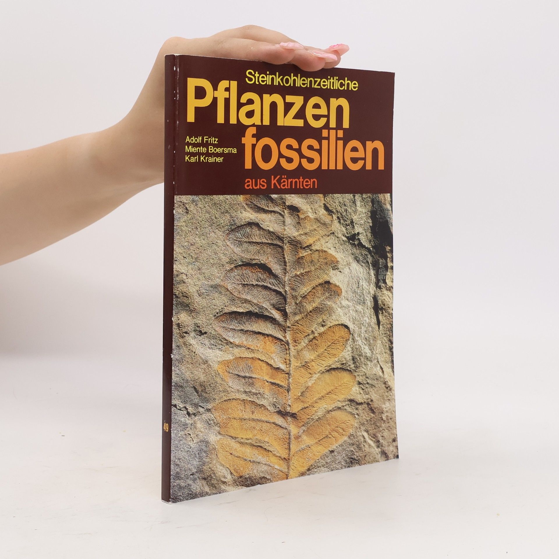 kolektiv Pflanzen Fossilien aus Kärnten