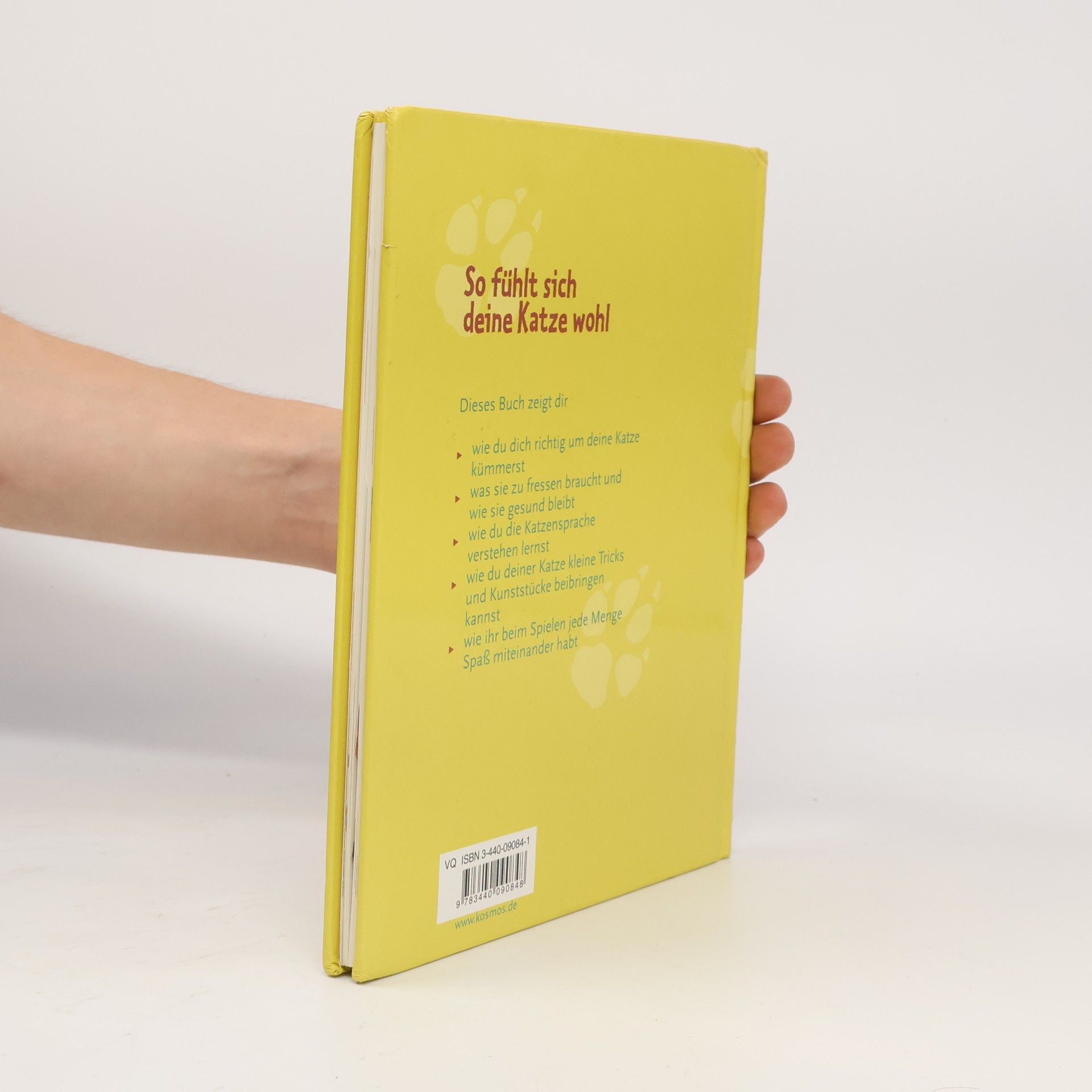 Sarah Whitehead Das Katzenbuch für Kids