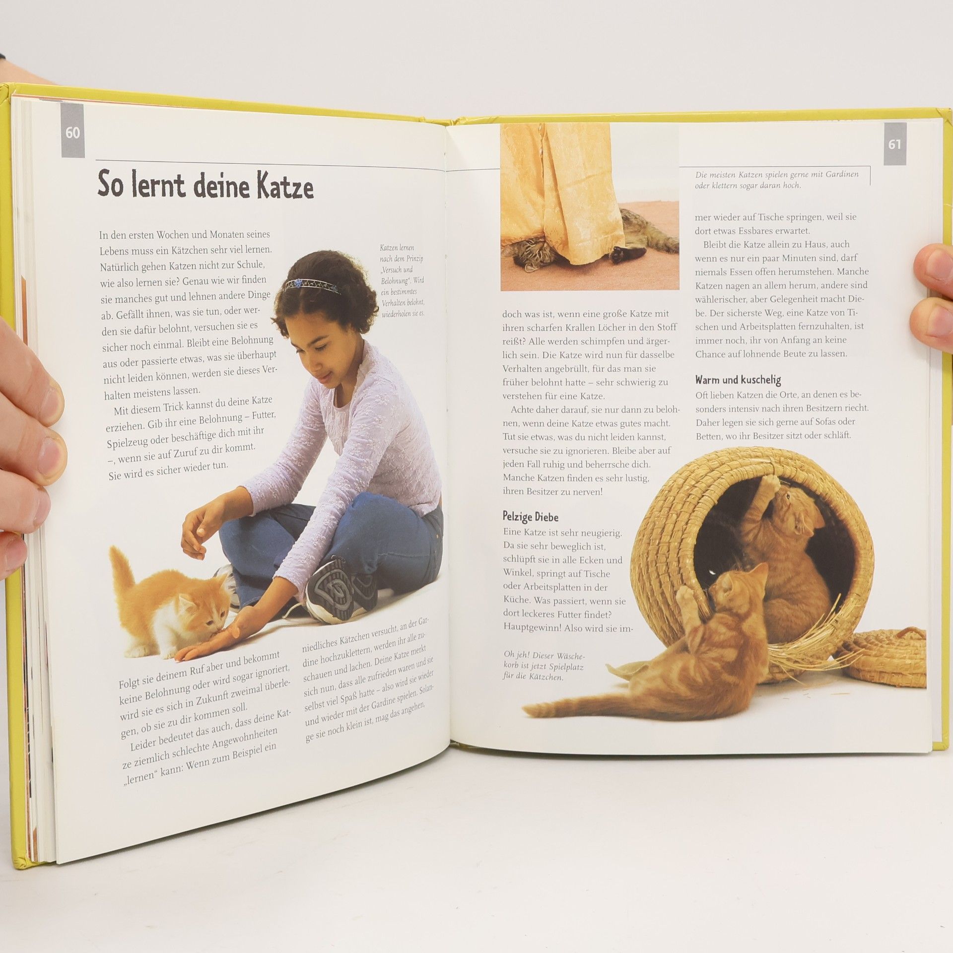 Sarah Whitehead Das Katzenbuch für Kids