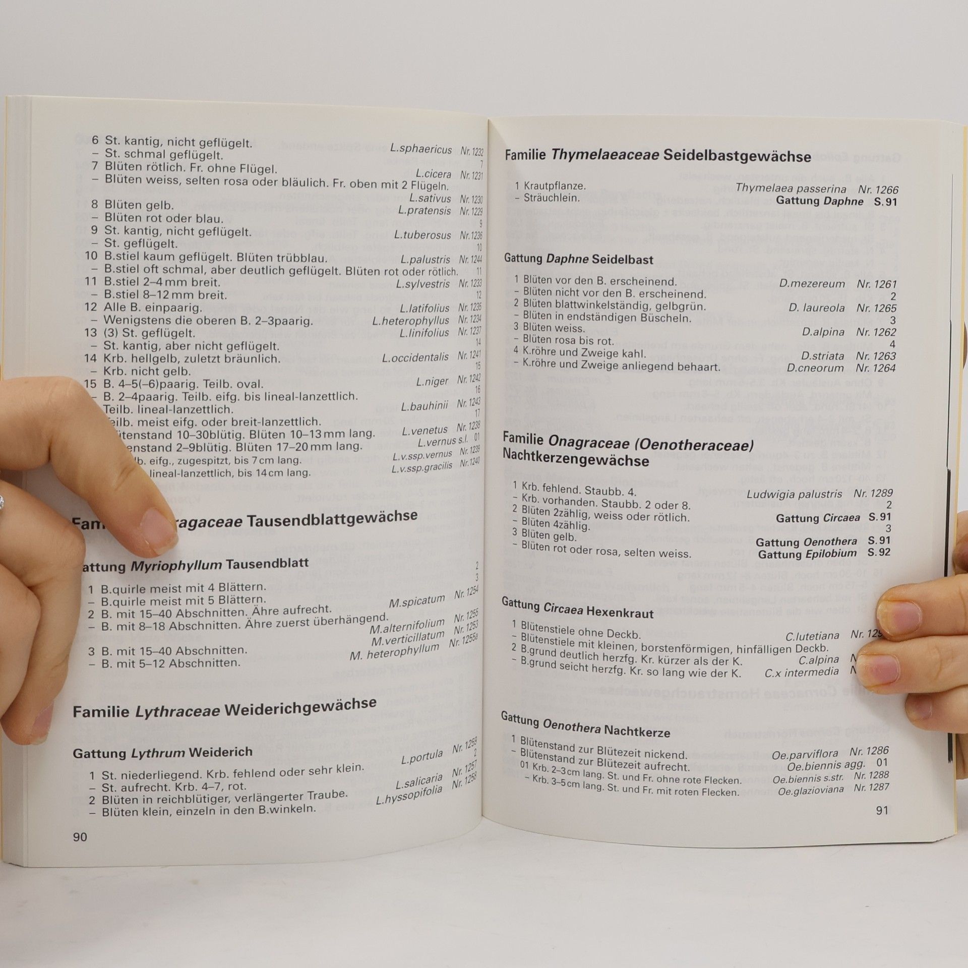Autorenkollektiv Bestummungsschlüssel zur Flora Helvetica