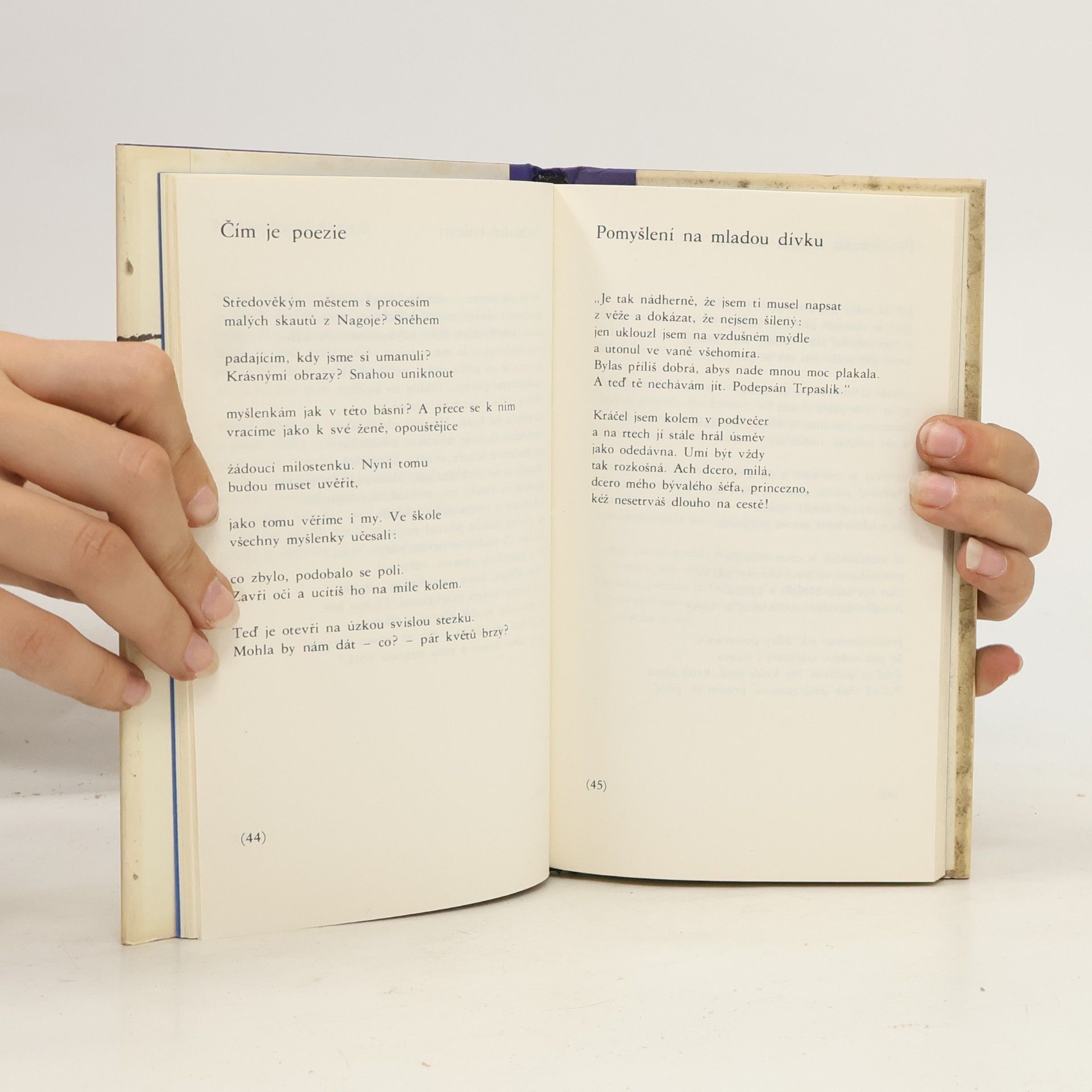 John Ashbery Autoportrét ve vypouklém zrcadle