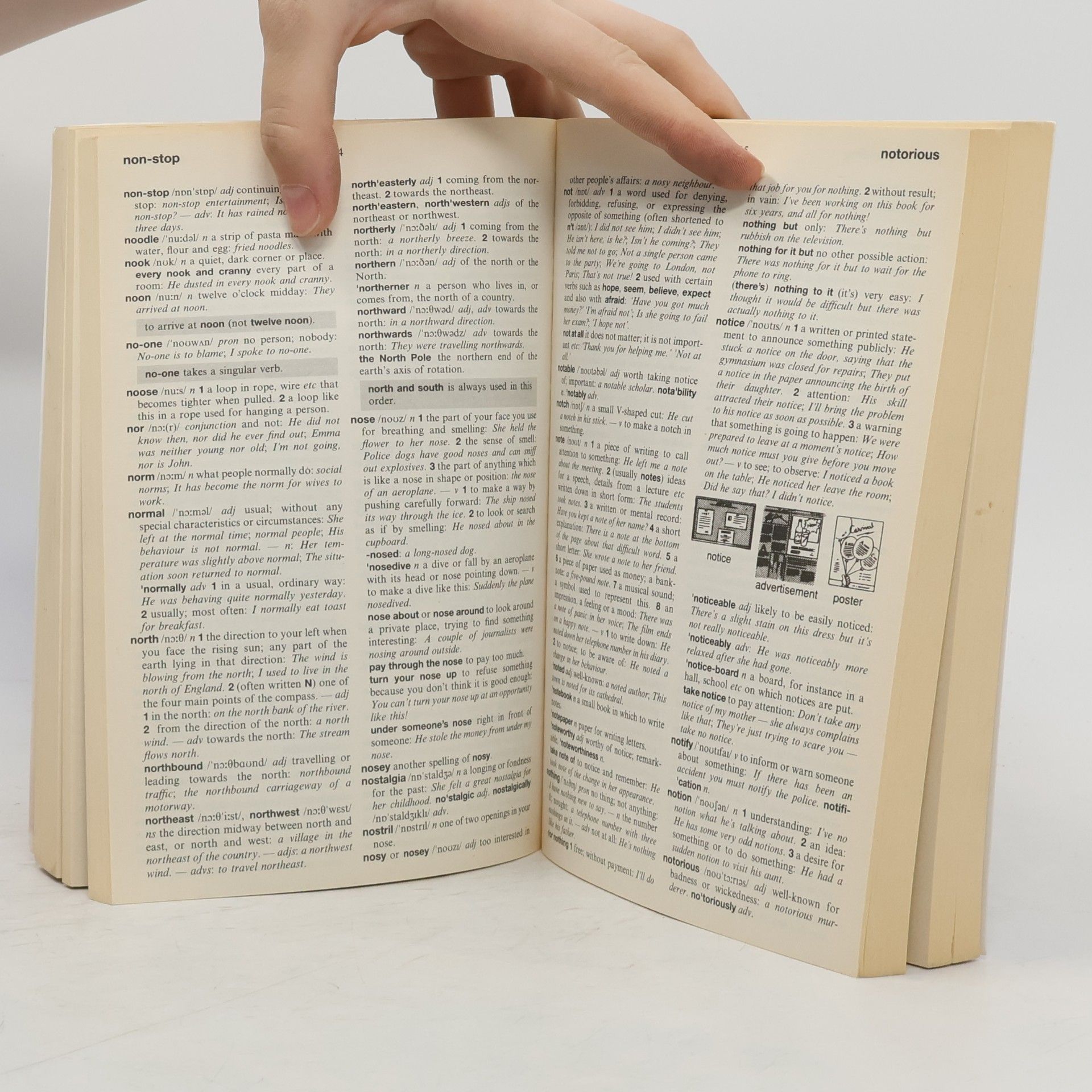 Sandra Anderson Chambers students' dictionary