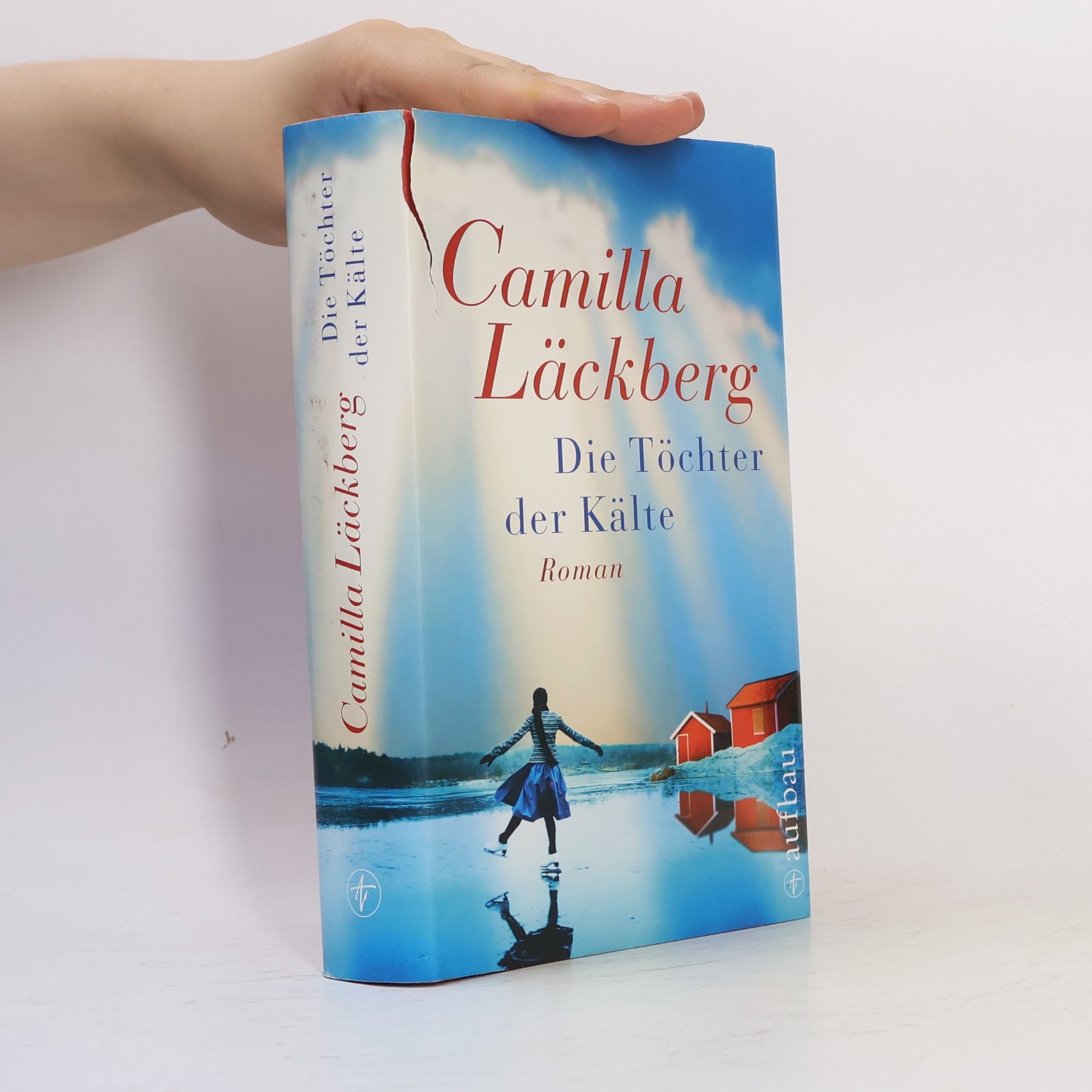 Camilla Läckberg Die Töchter der Kälte