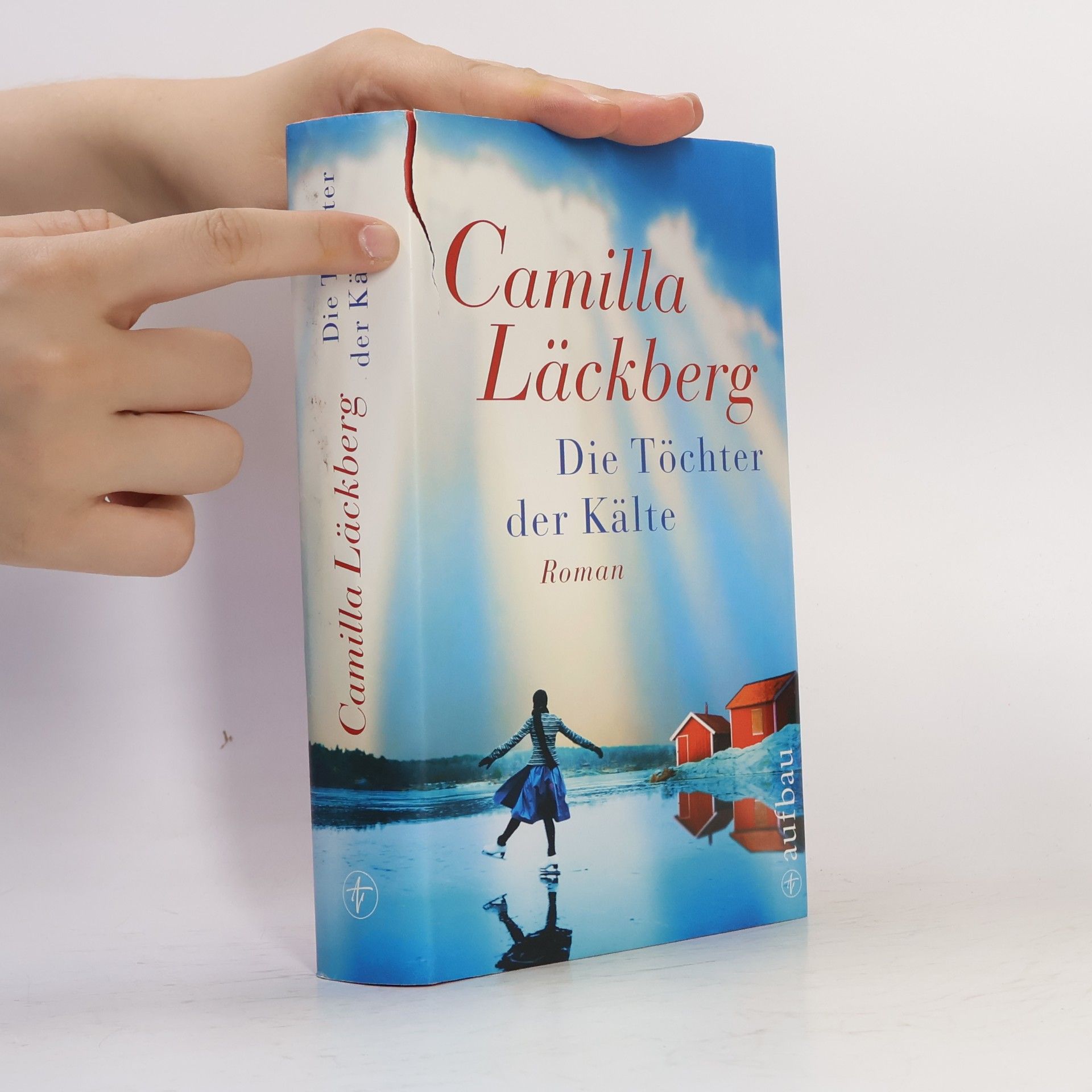 Camilla Läckberg Die Töchter der Kälte