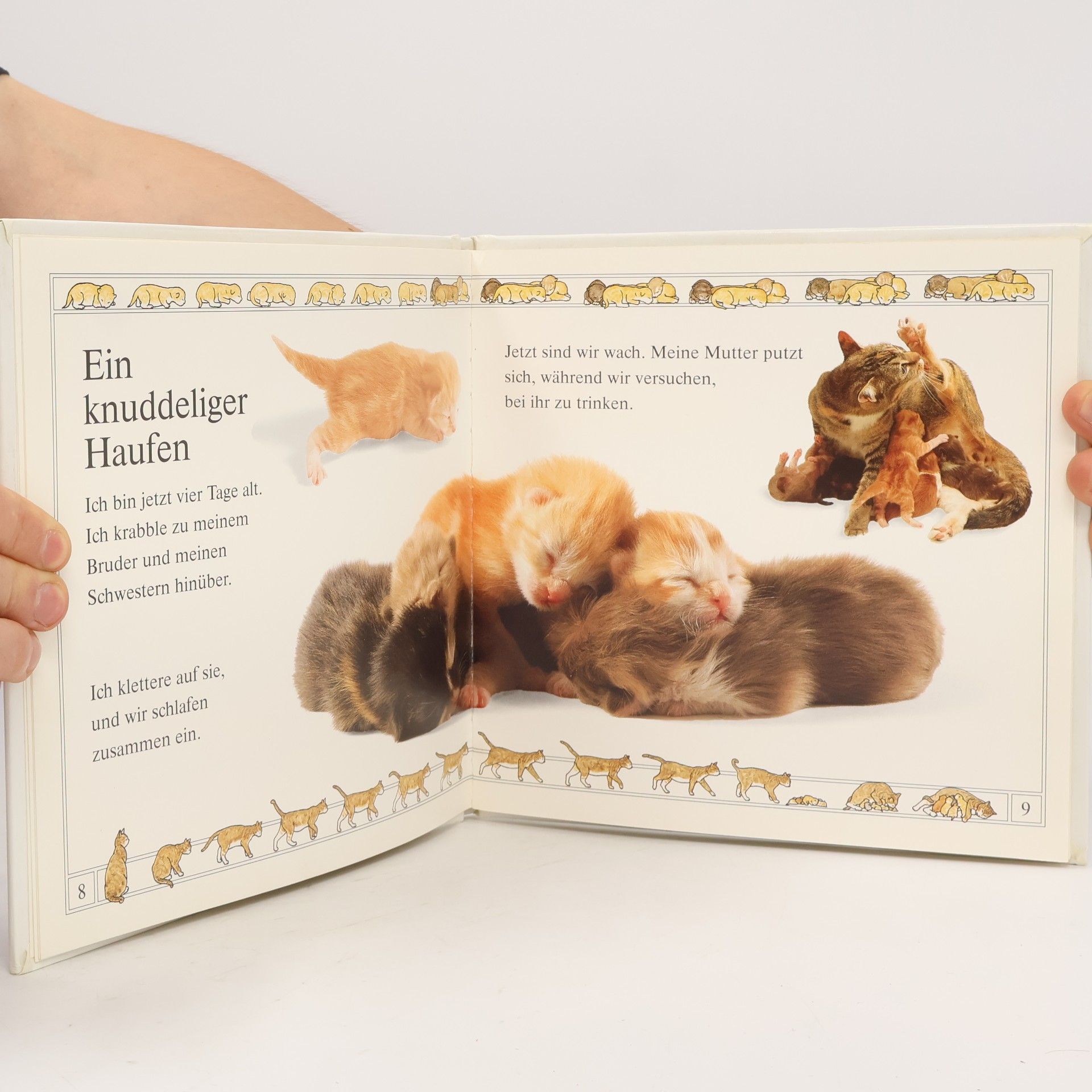 Jane Burton Tierkinder: Die Katze