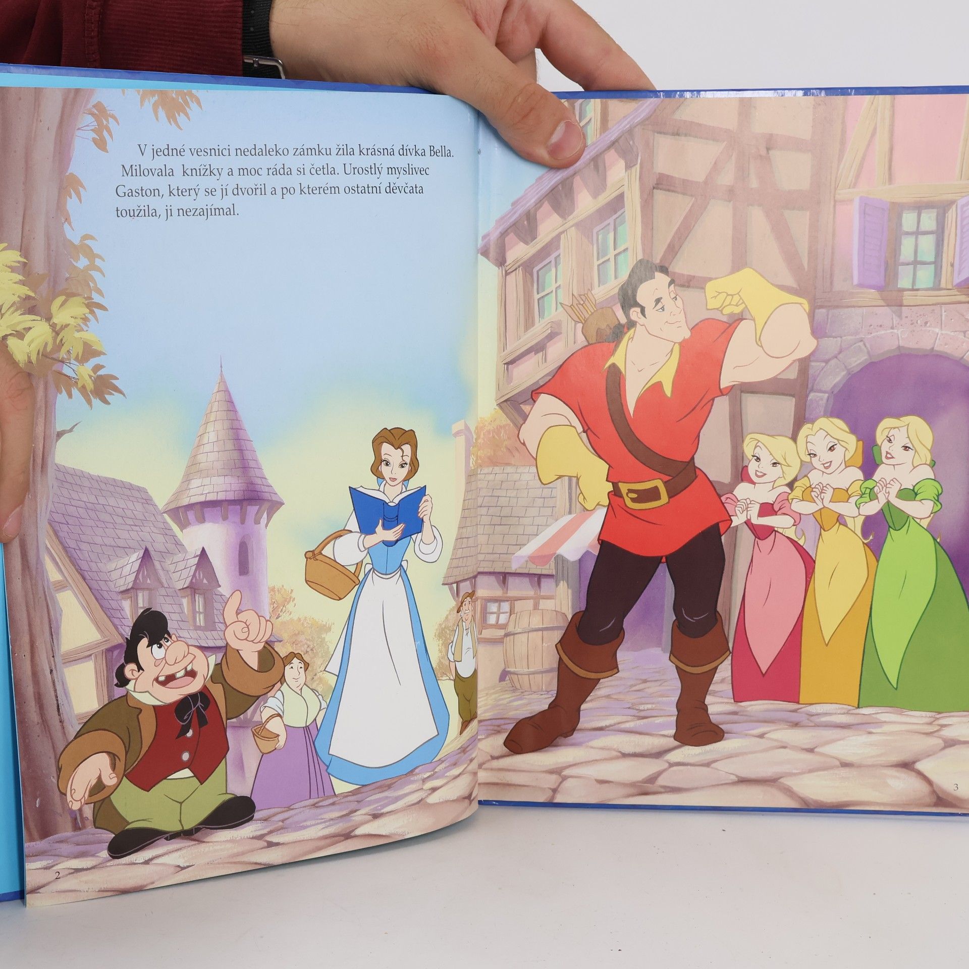 Walt Disney Kráska a zvíře