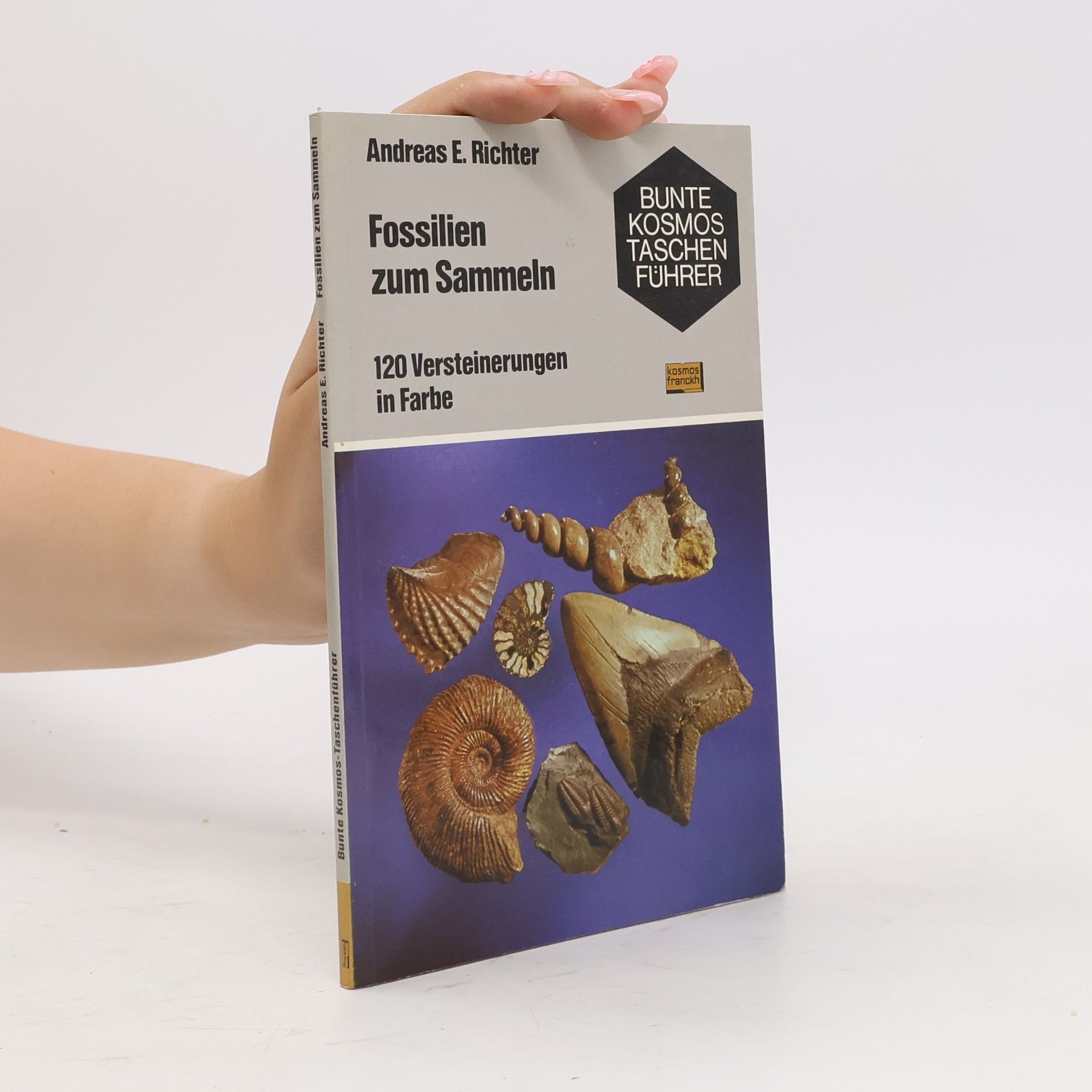 Andreas E. Richter Fossilien zum Sammeln
