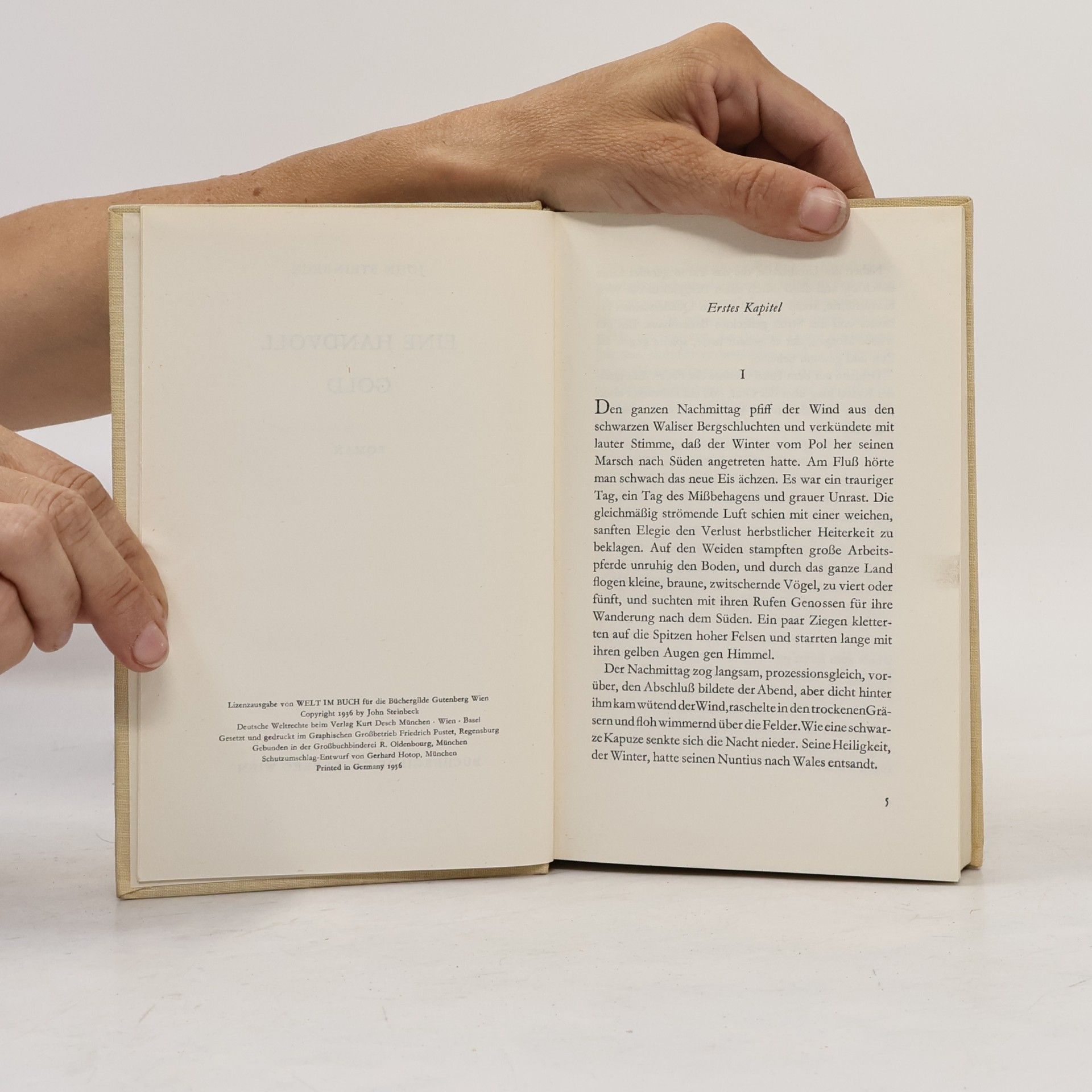 John Steinbeck Eine Handvoll Gold
