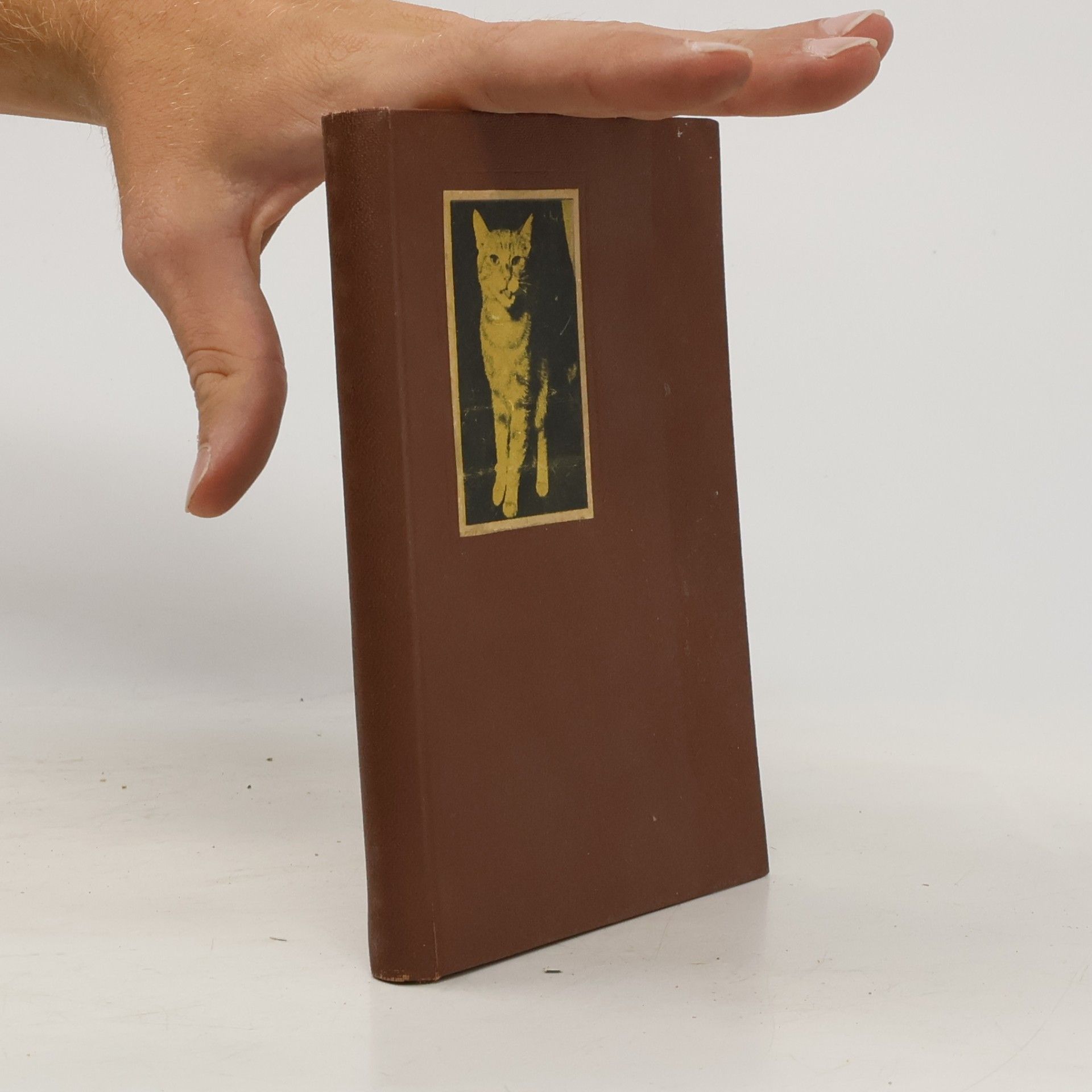 Agatha Christie Kočka mezi holuby