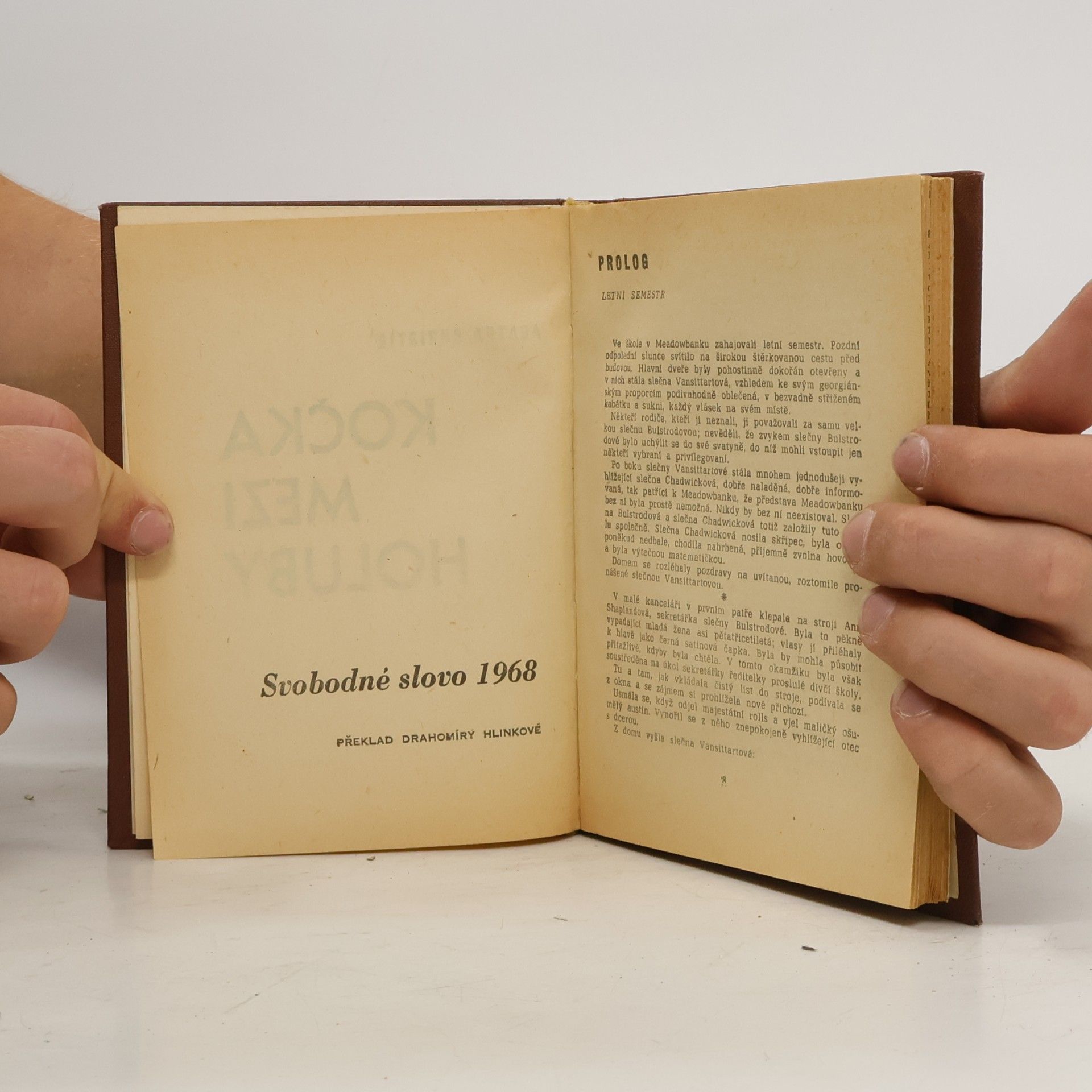 Agatha Christie Kočka mezi holuby