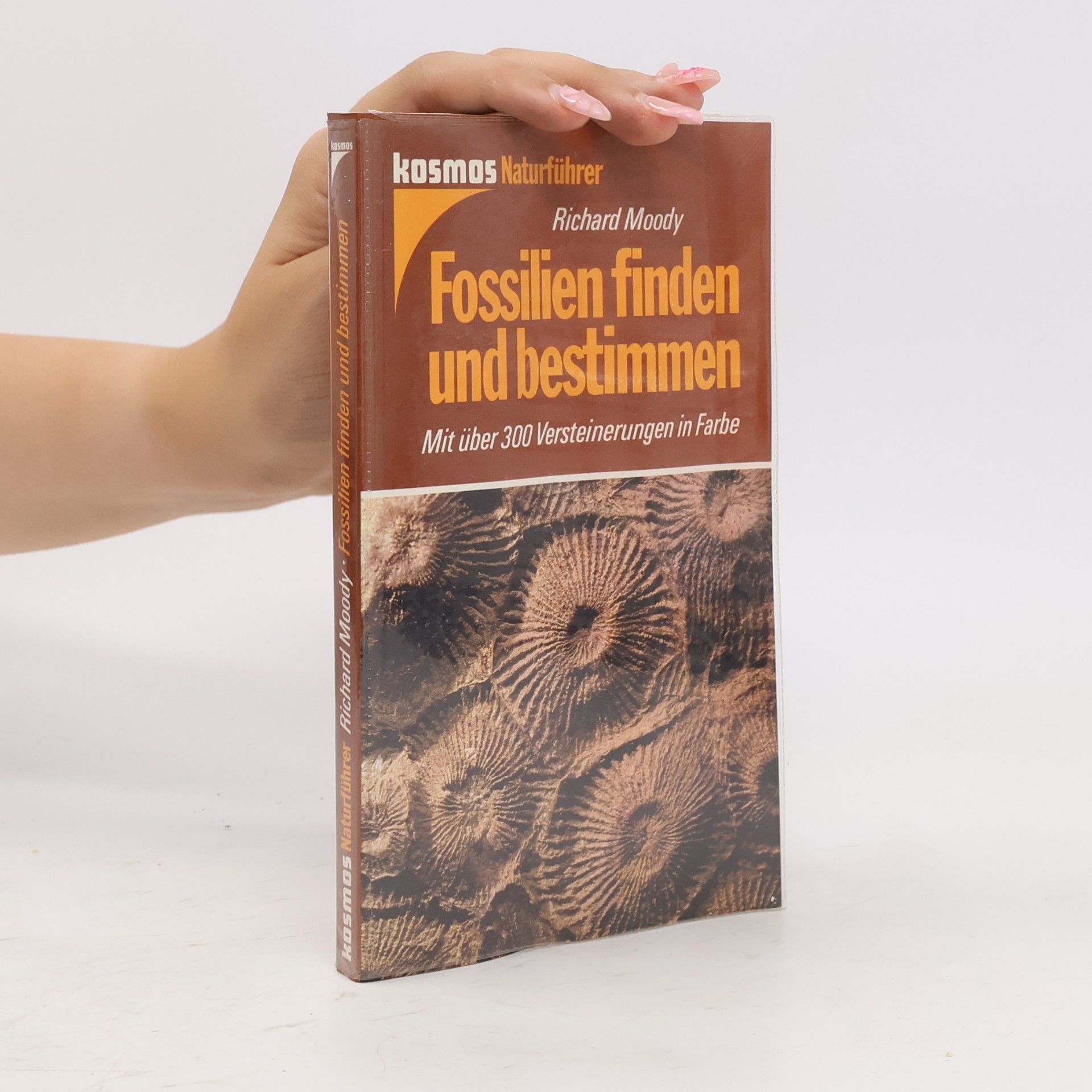 Fossilien finden und bestimmen