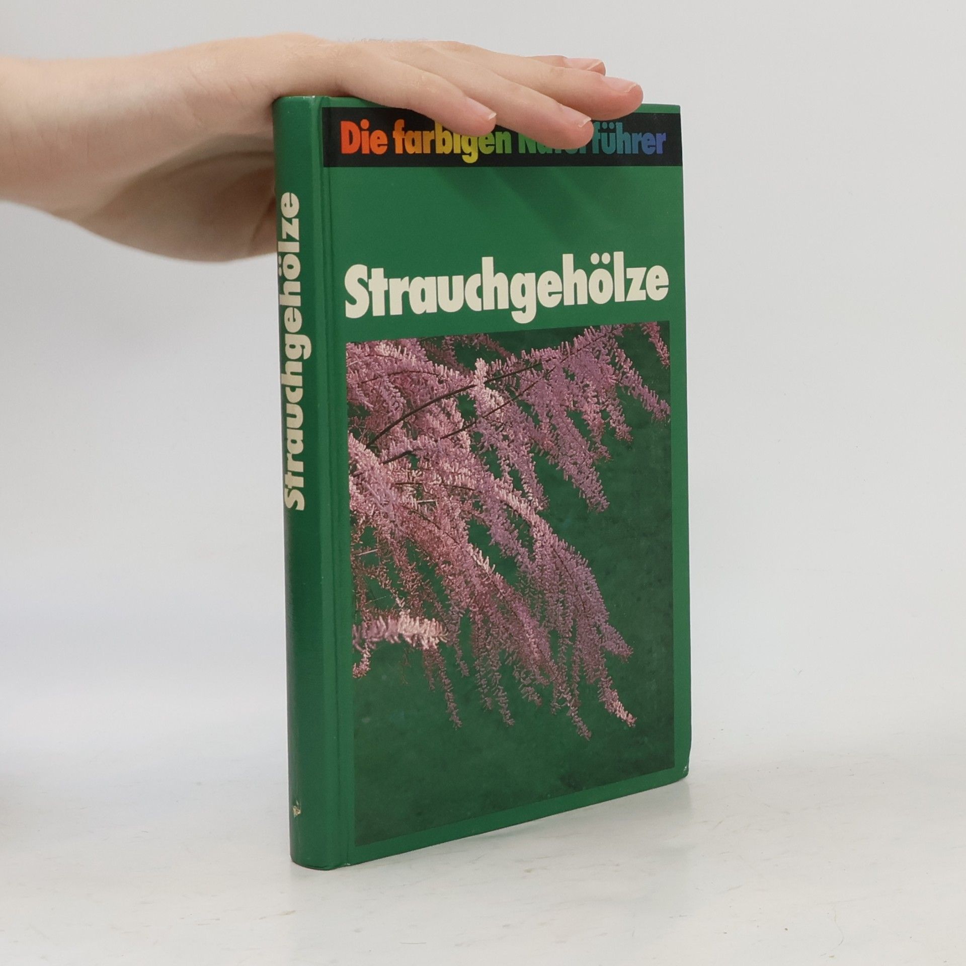 Autorenkollektiv Strauchgehölze