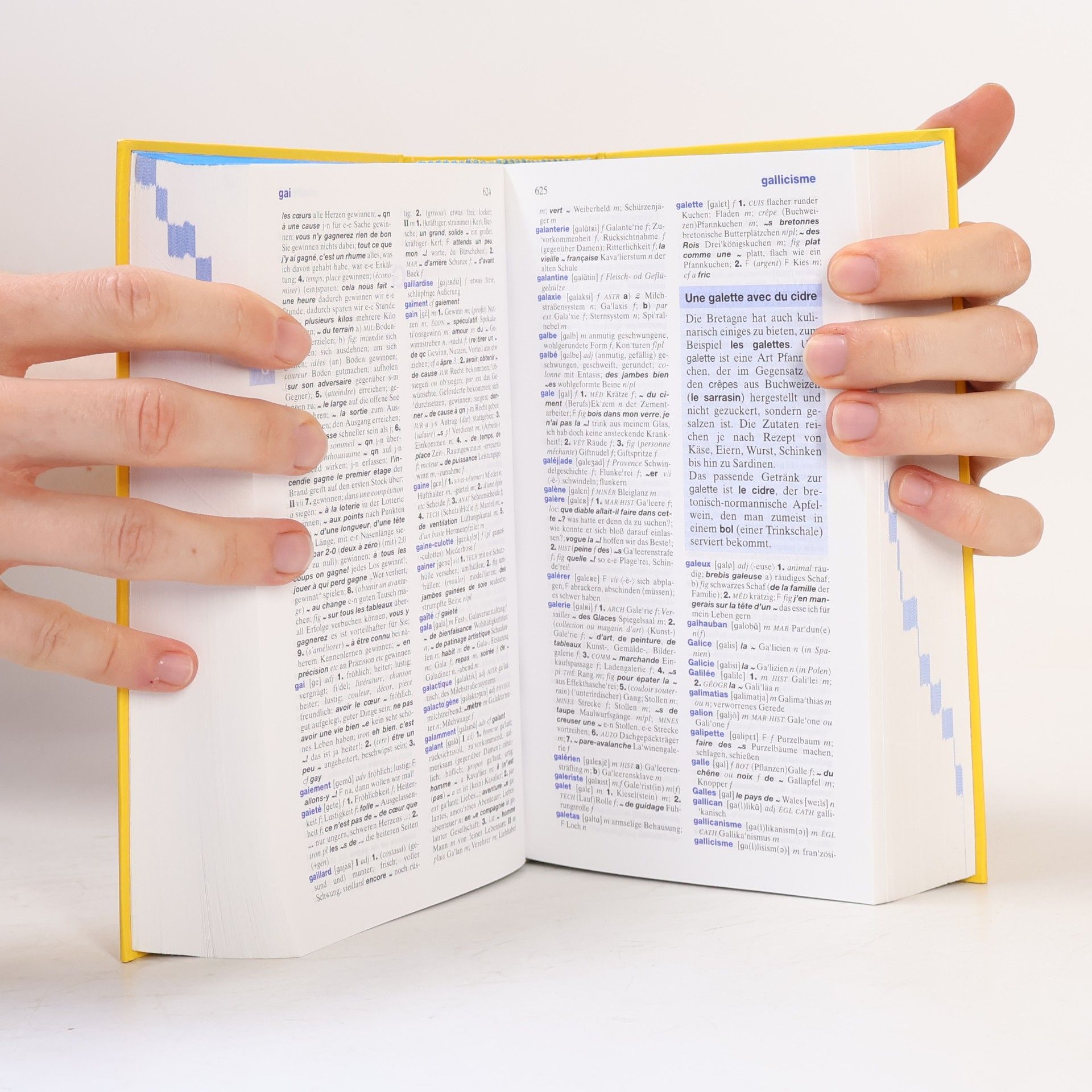 Manfred Bleher Langenscheidt, Großes Schulwörterbuch Französisch-Deutsch