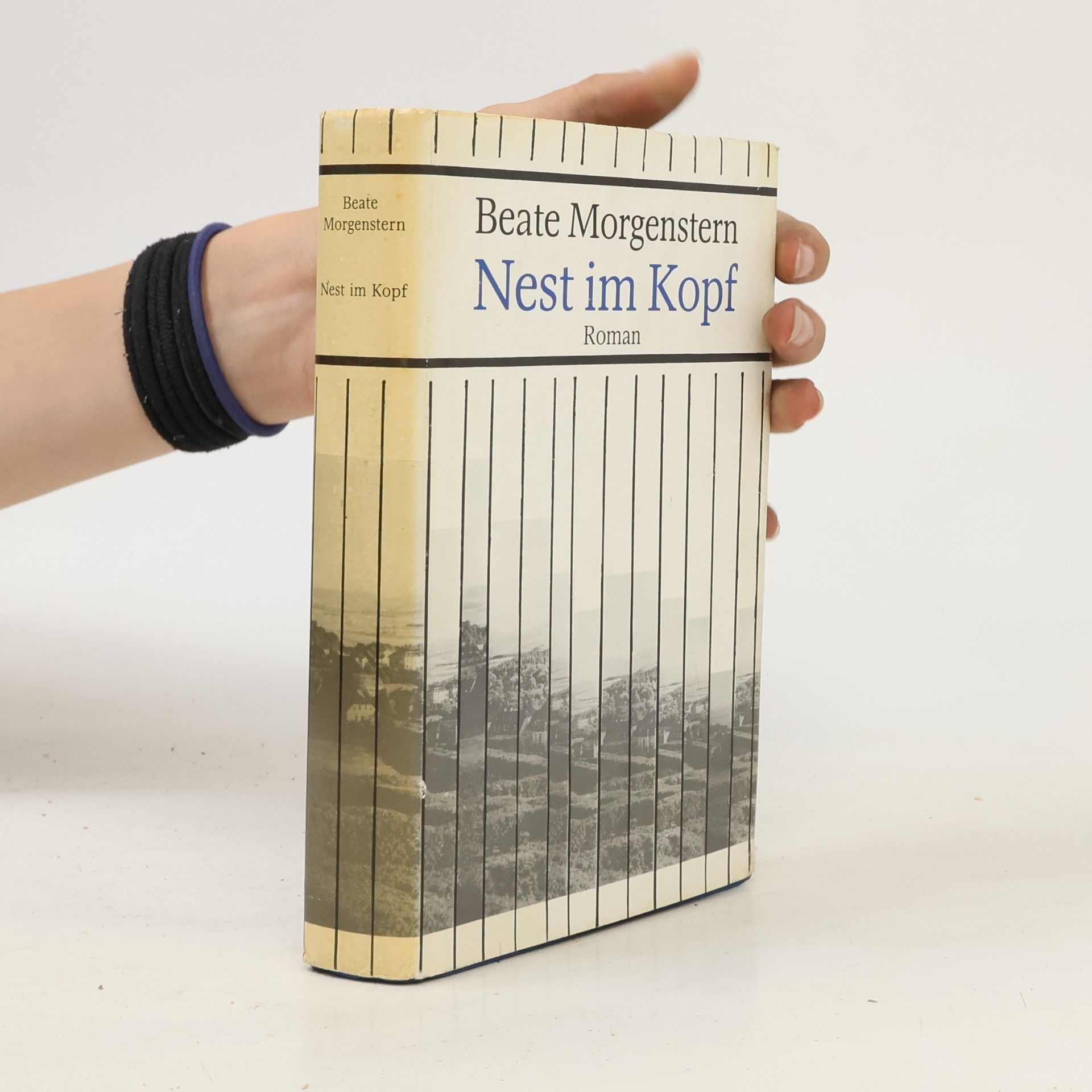Beate Morgenstern Nest im Kopf
