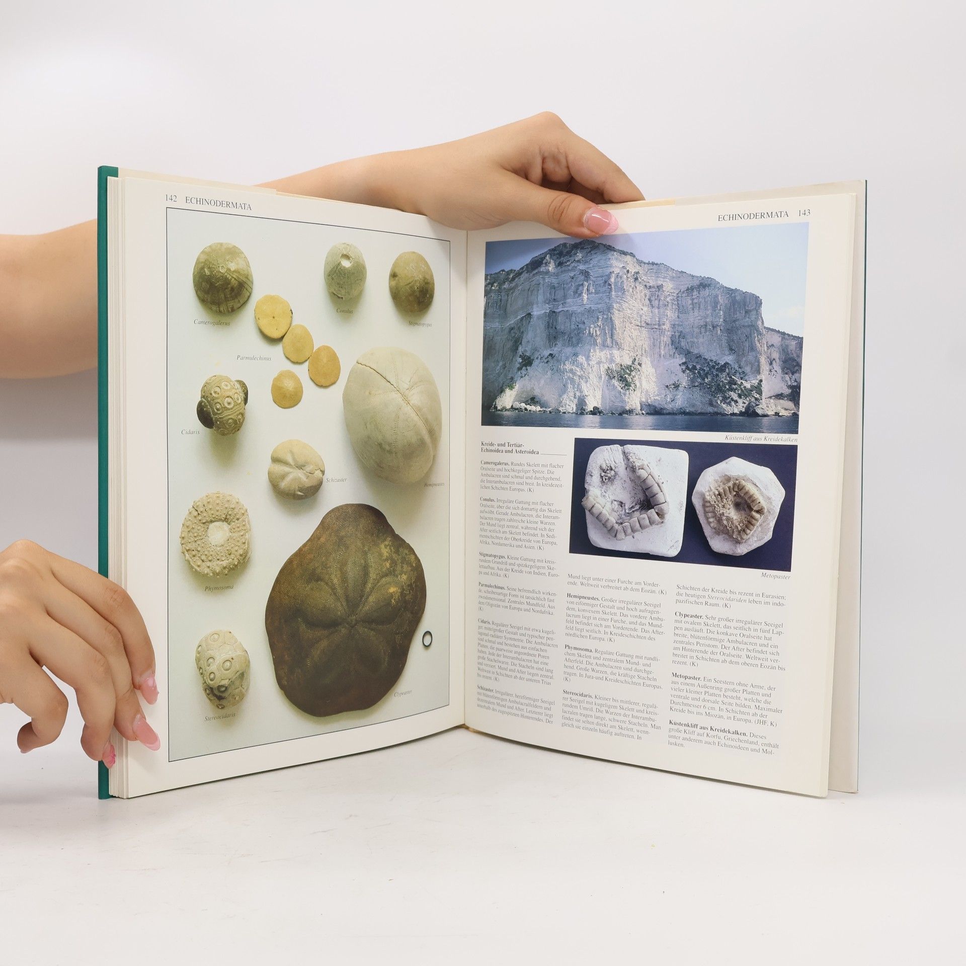 Chris Pellant Kosmos-Atlas Gesteine, Mineralien und Fossilien