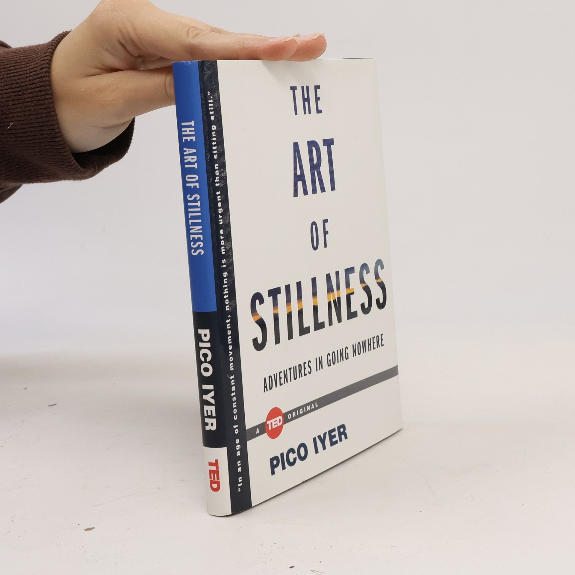Pico Iyer The Art of Stillness. Adventures in Going Nowhere