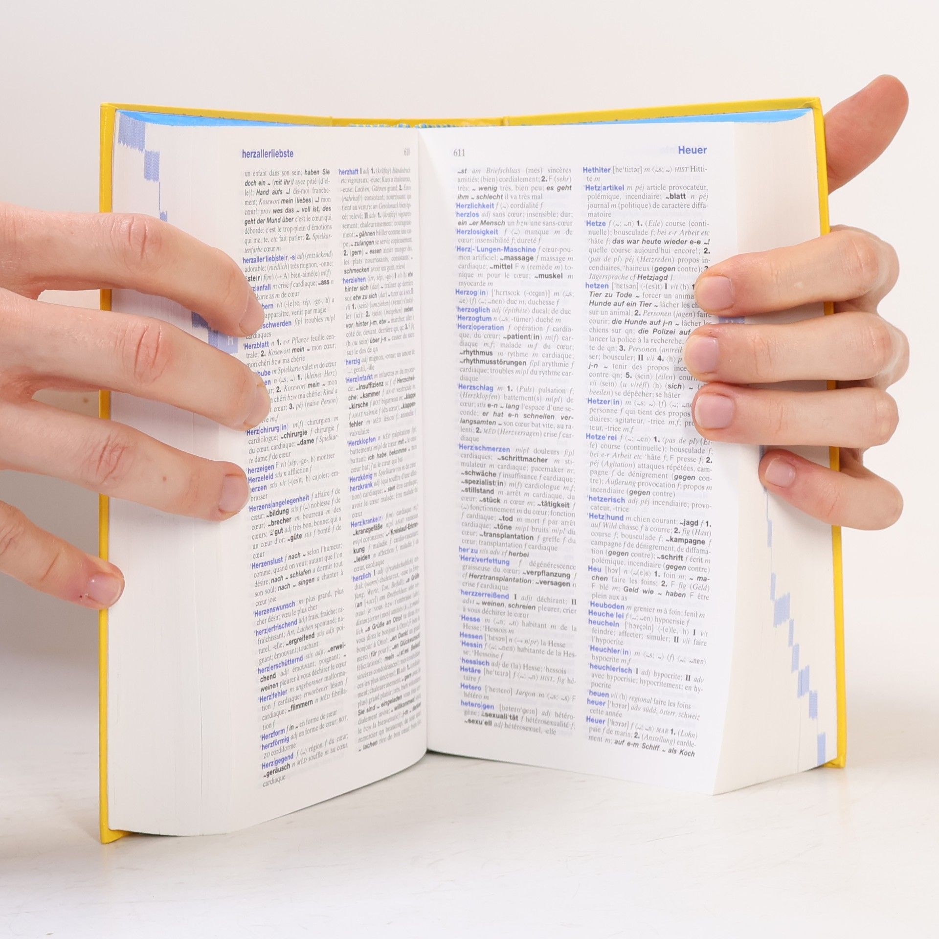 Barbara Epple Langenscheidts großes Schulwörterbuch Deutsch-Französisch