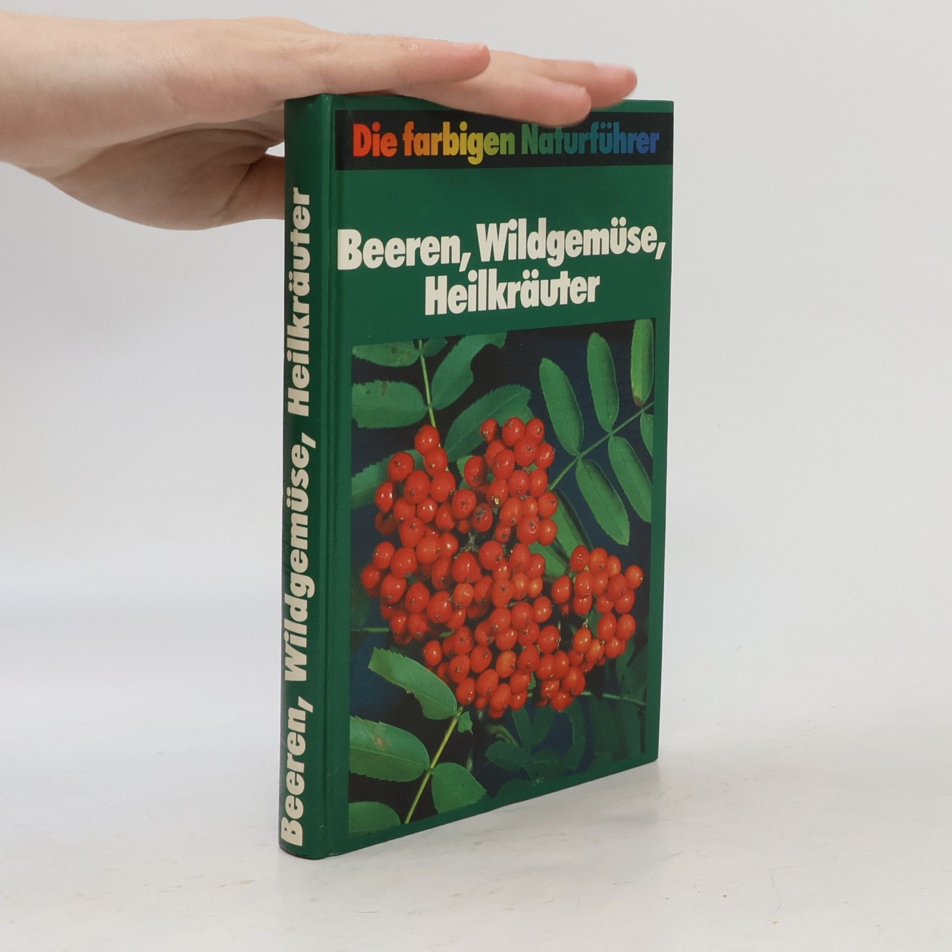 Kolektiv autorů Beeren, Wildgemüse, Heilkräuter