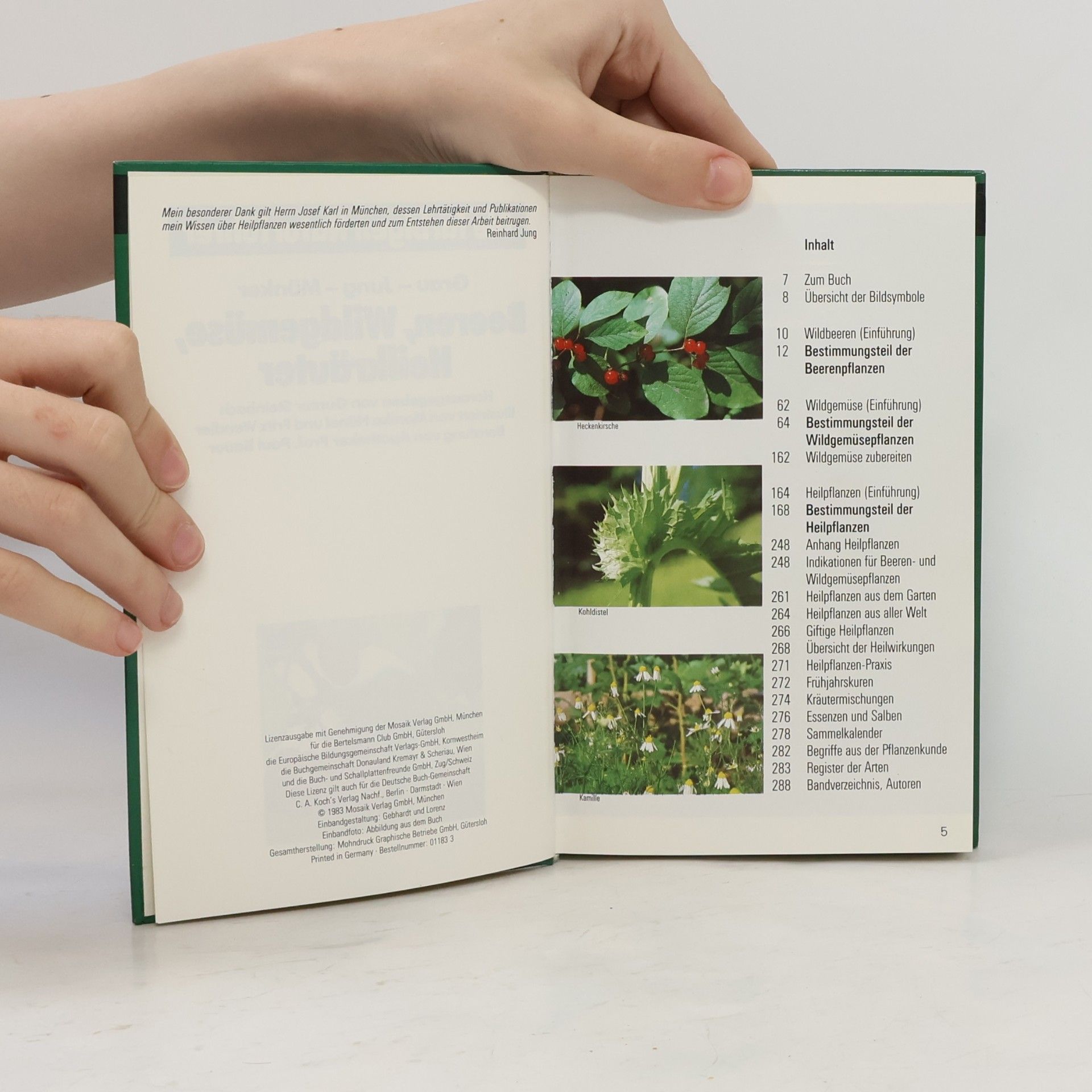 Autorenkollektiv Beeren, Wildgemüse, Heilkräuter