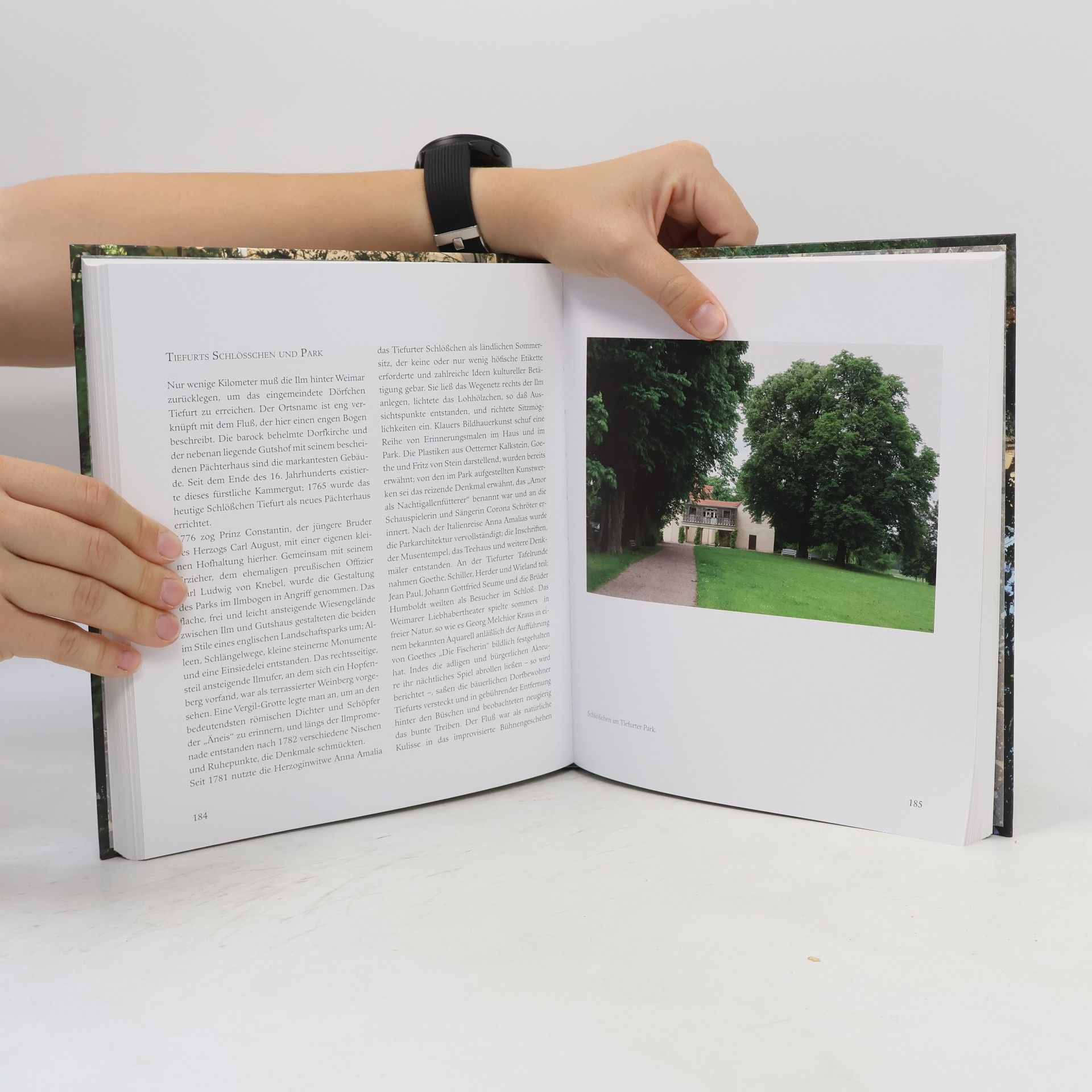 Jochen Klauß Schriftenreihe des Freundeskreises Goethe-Nationalmuseum e.V: Die Ilm. Thüringens Fluß