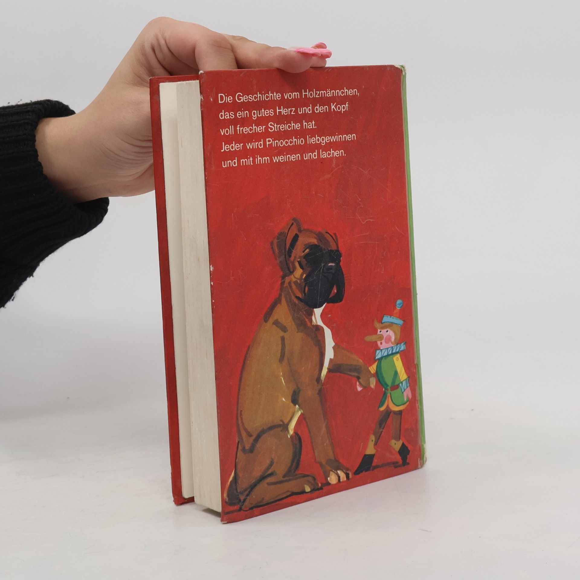 Carlo Collodi Die Abenteuer des hölzernen Pinocchio