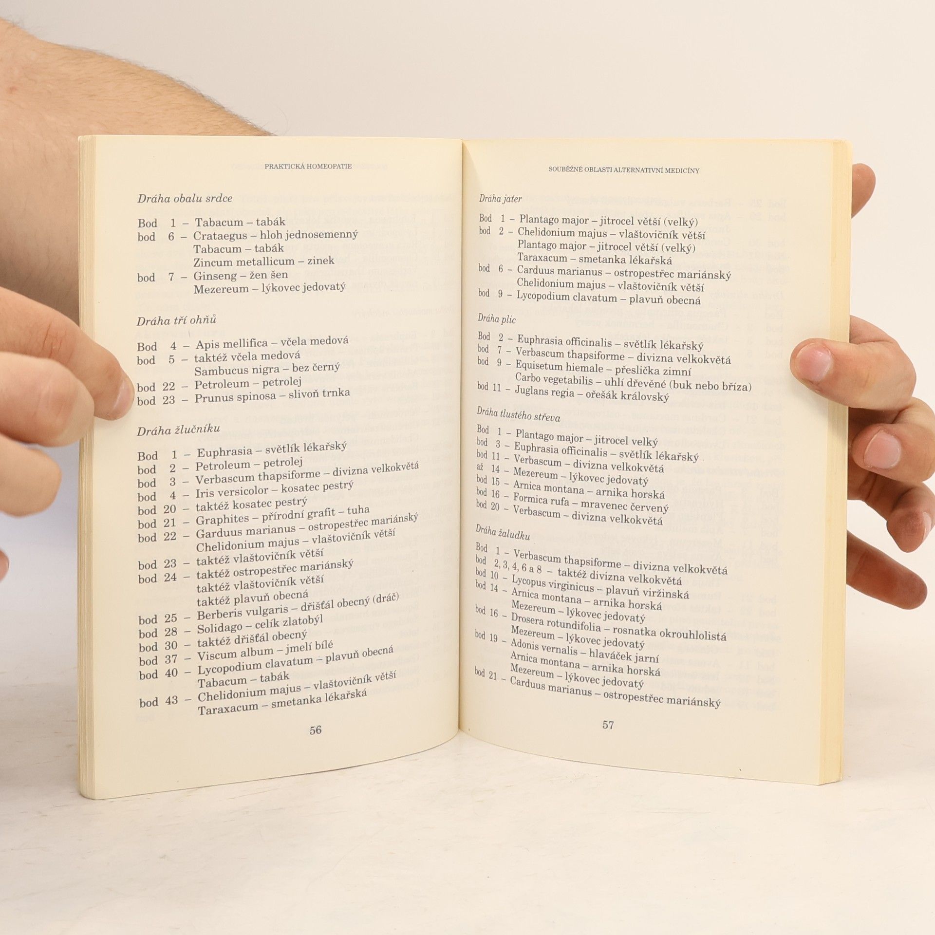 Jiří Janča Praktická homeopatie - cesta ke zdraví, rádce pro celou rodinu