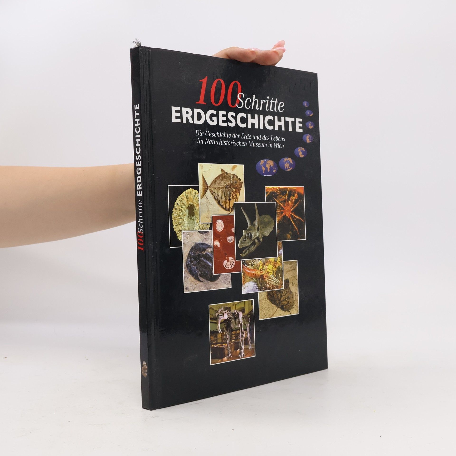 Herbert Summersberger 100 Schritte Erdgeschichte