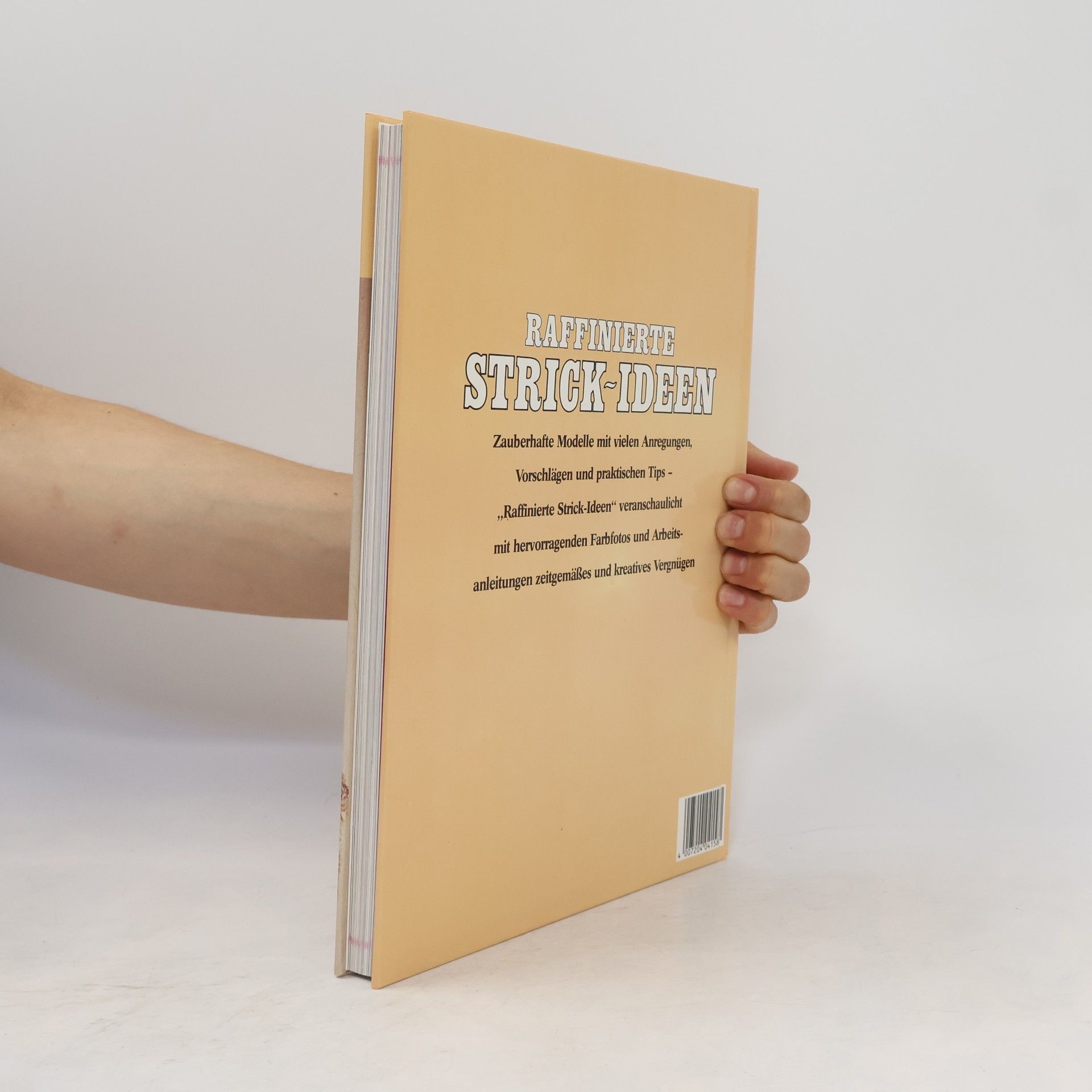Kolektiv autorů Raffinierte Strick-Ideen