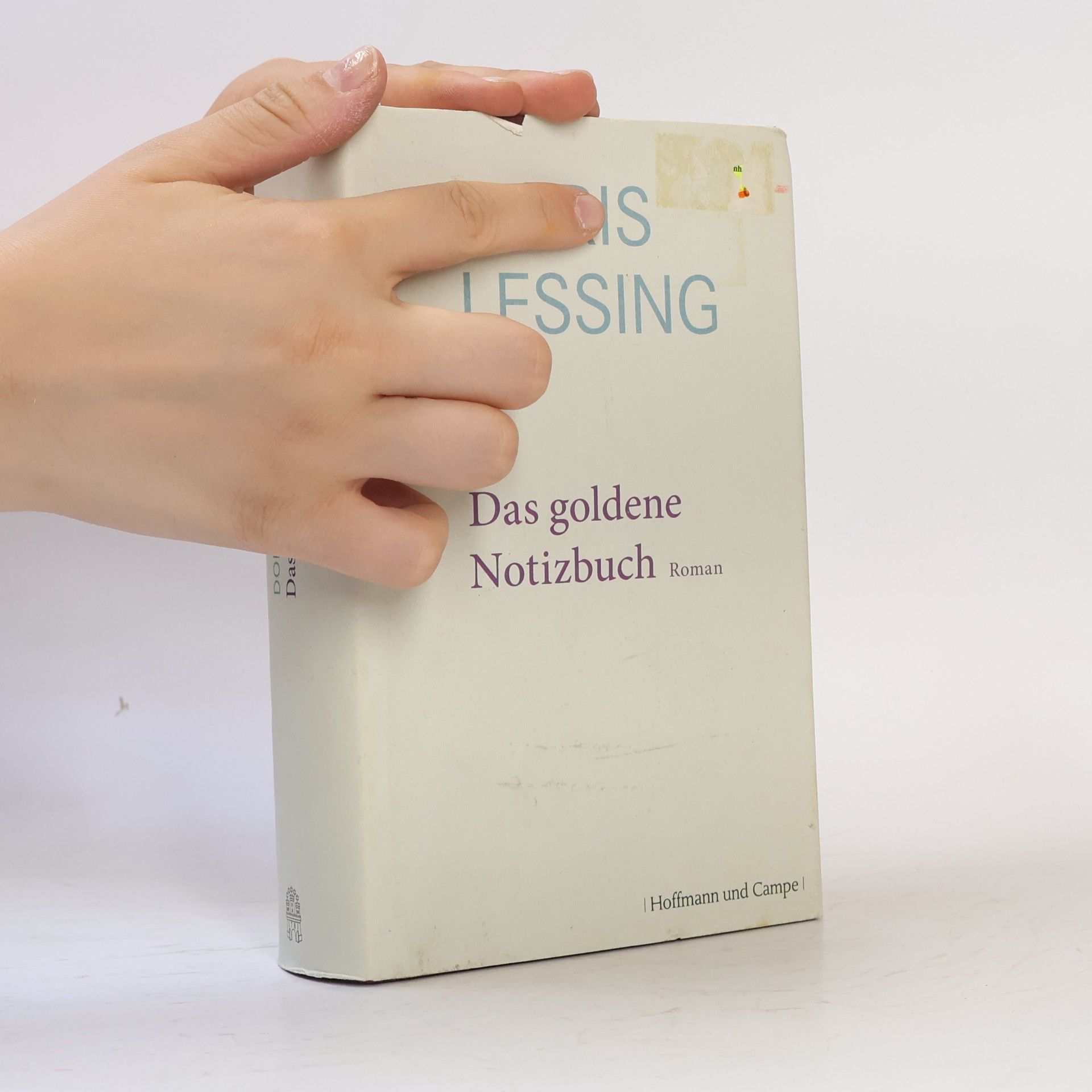 Doris May Lessing Das goldene Notizbuch