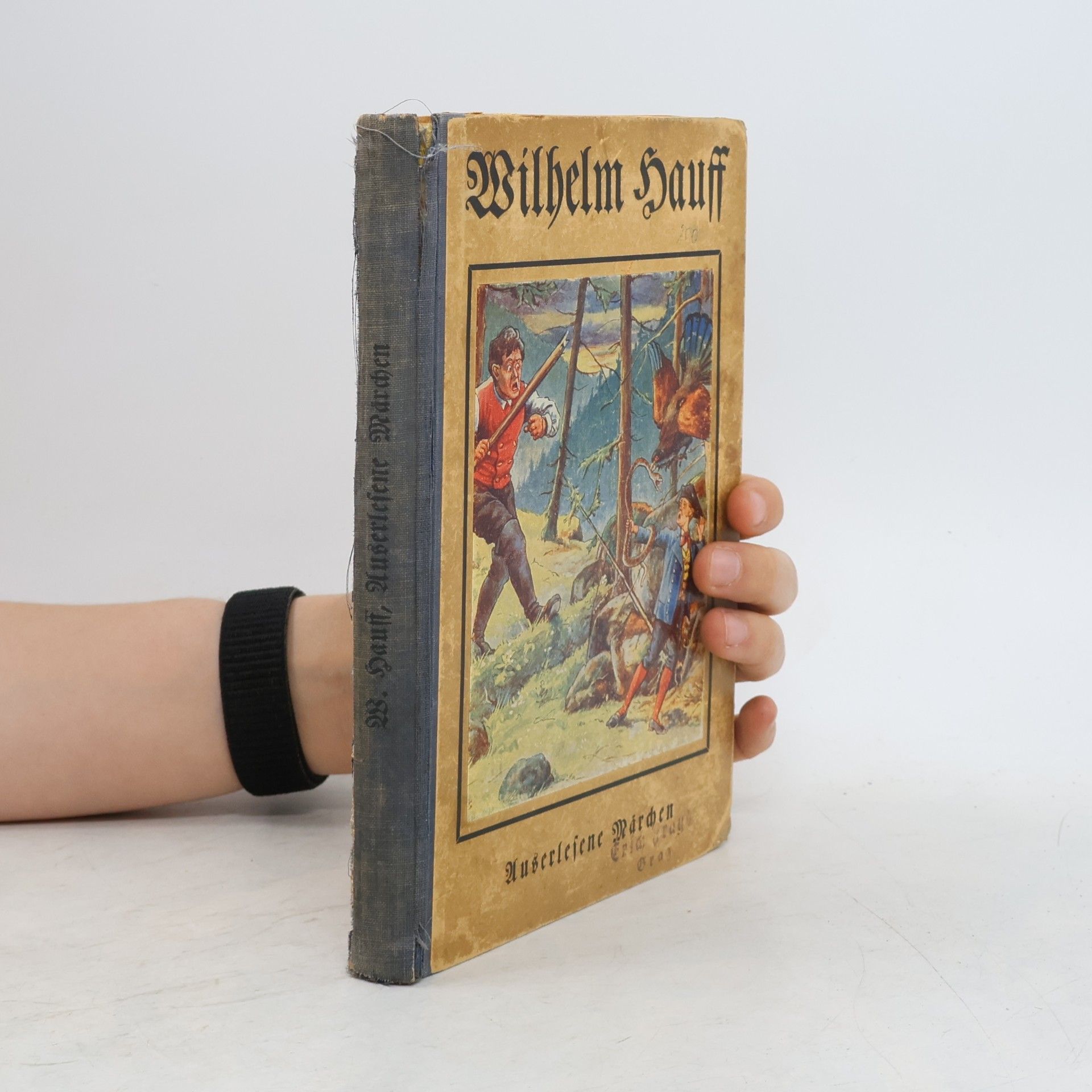 Wilhelm Hauff Auserlesene Märchen