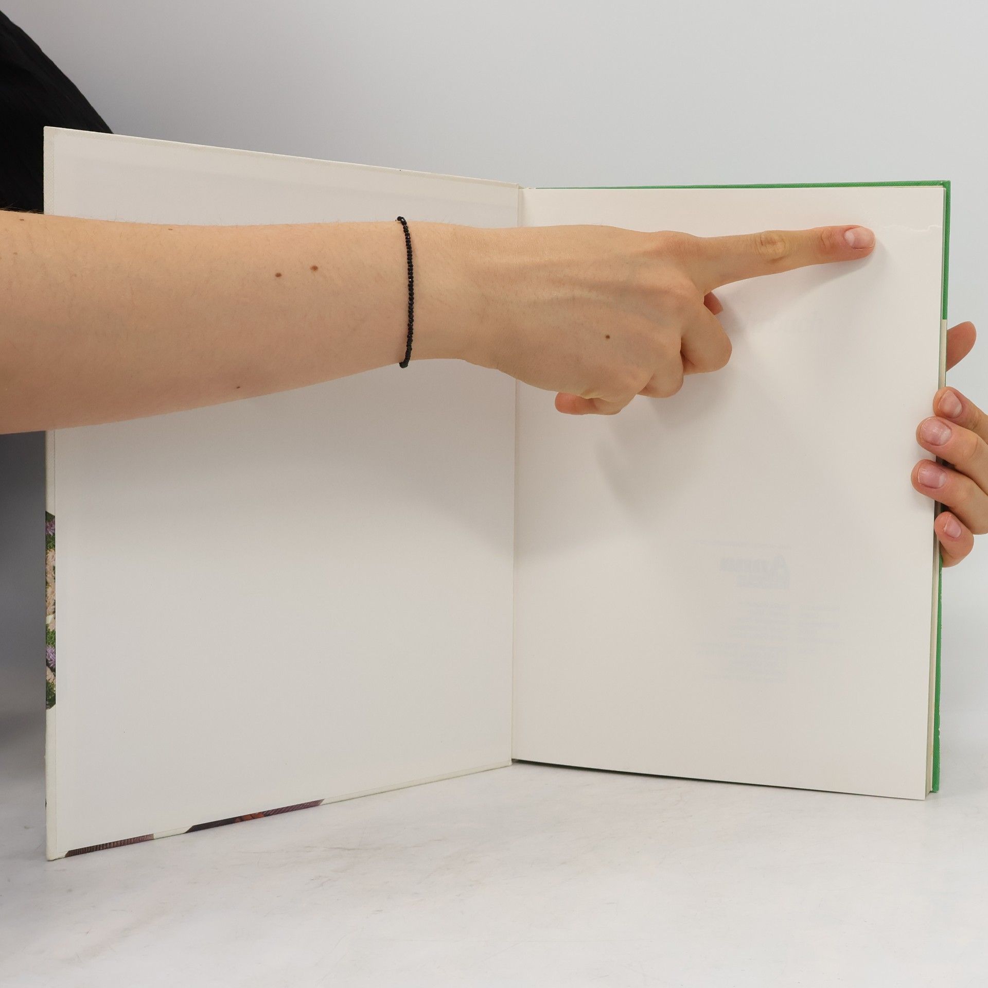 Hannelore Kopp Burda Hänkel-Lehrbuch