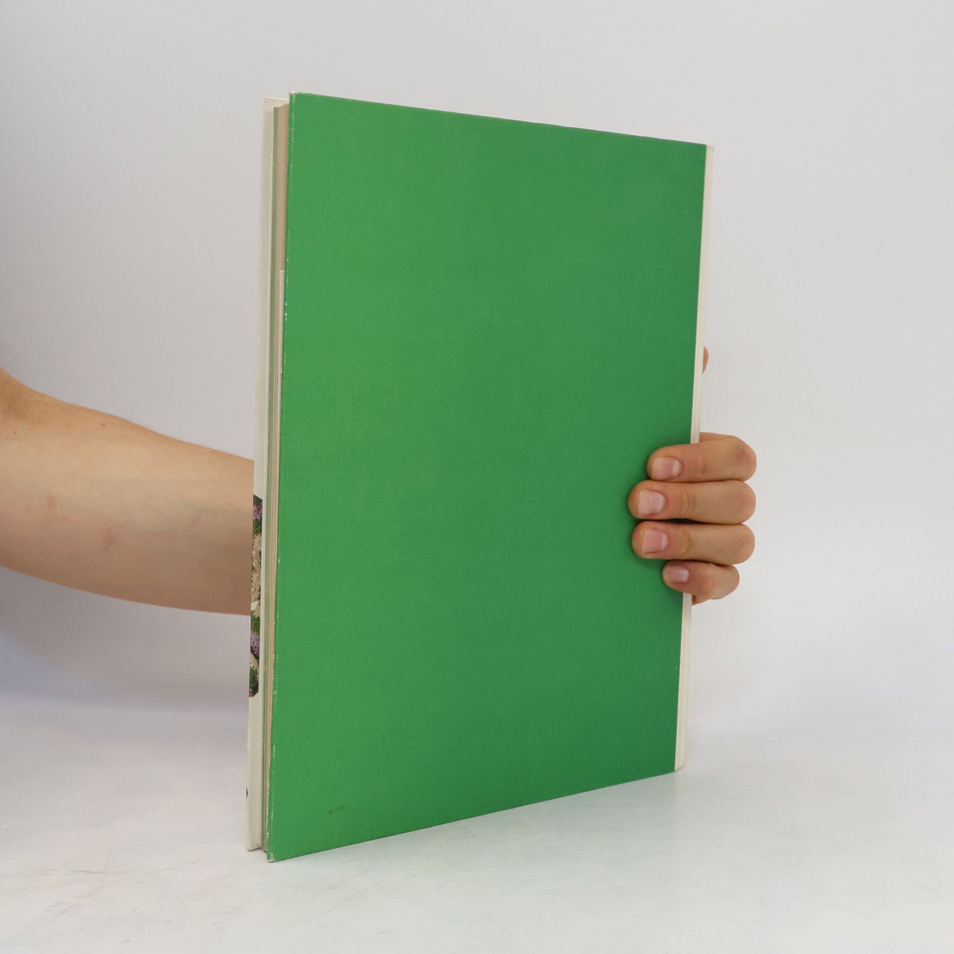 Hannelore Kopp Burda Hänkel-Lehrbuch