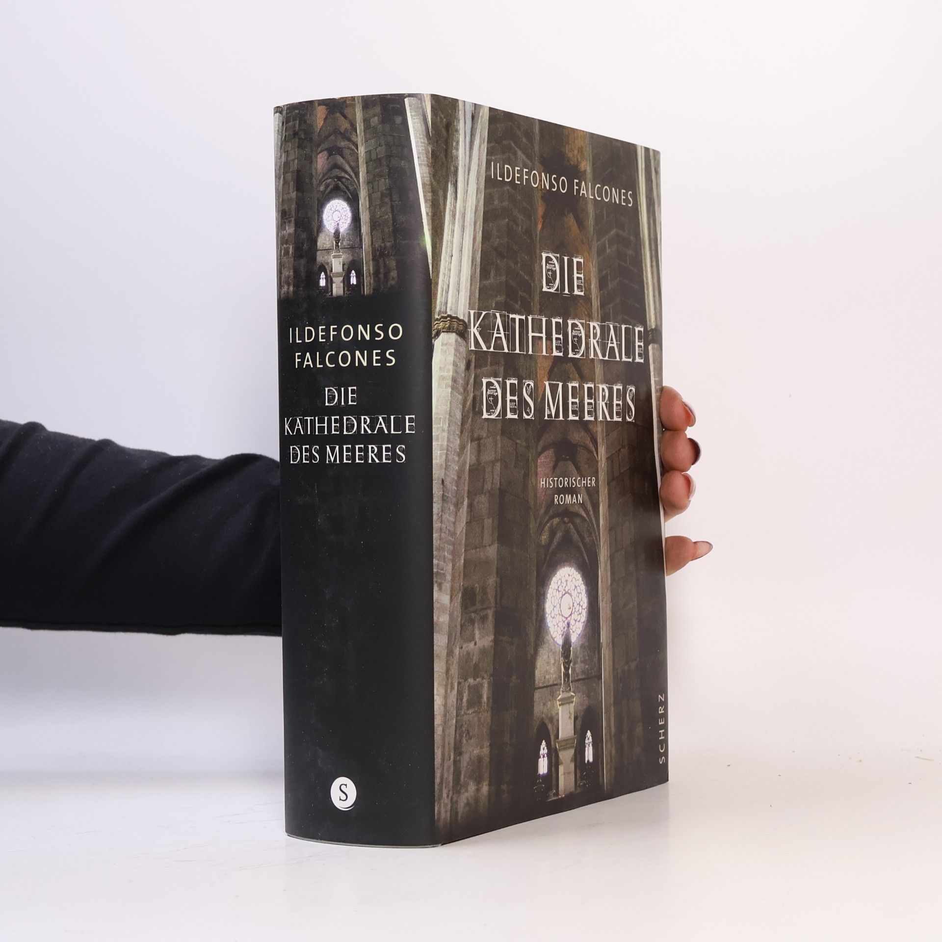 Ildefonso Falcones Die Kathedrale des Meeres