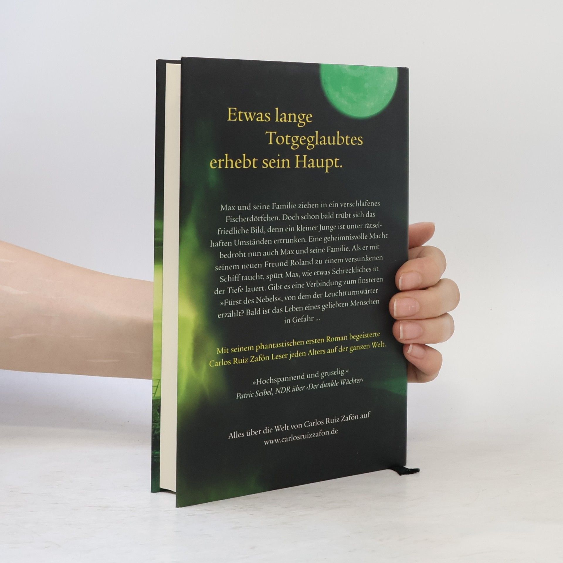 Carlos Ruiz Zafón Der Fürst des Nebels