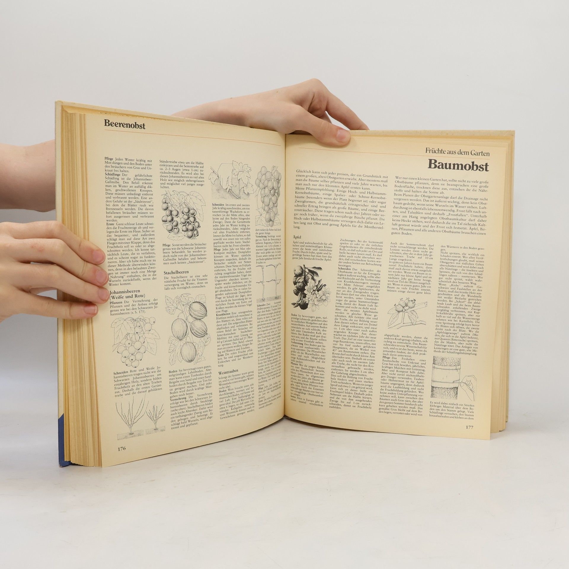 John Seymour Das grosse Buch vom Leben auf dem Lande