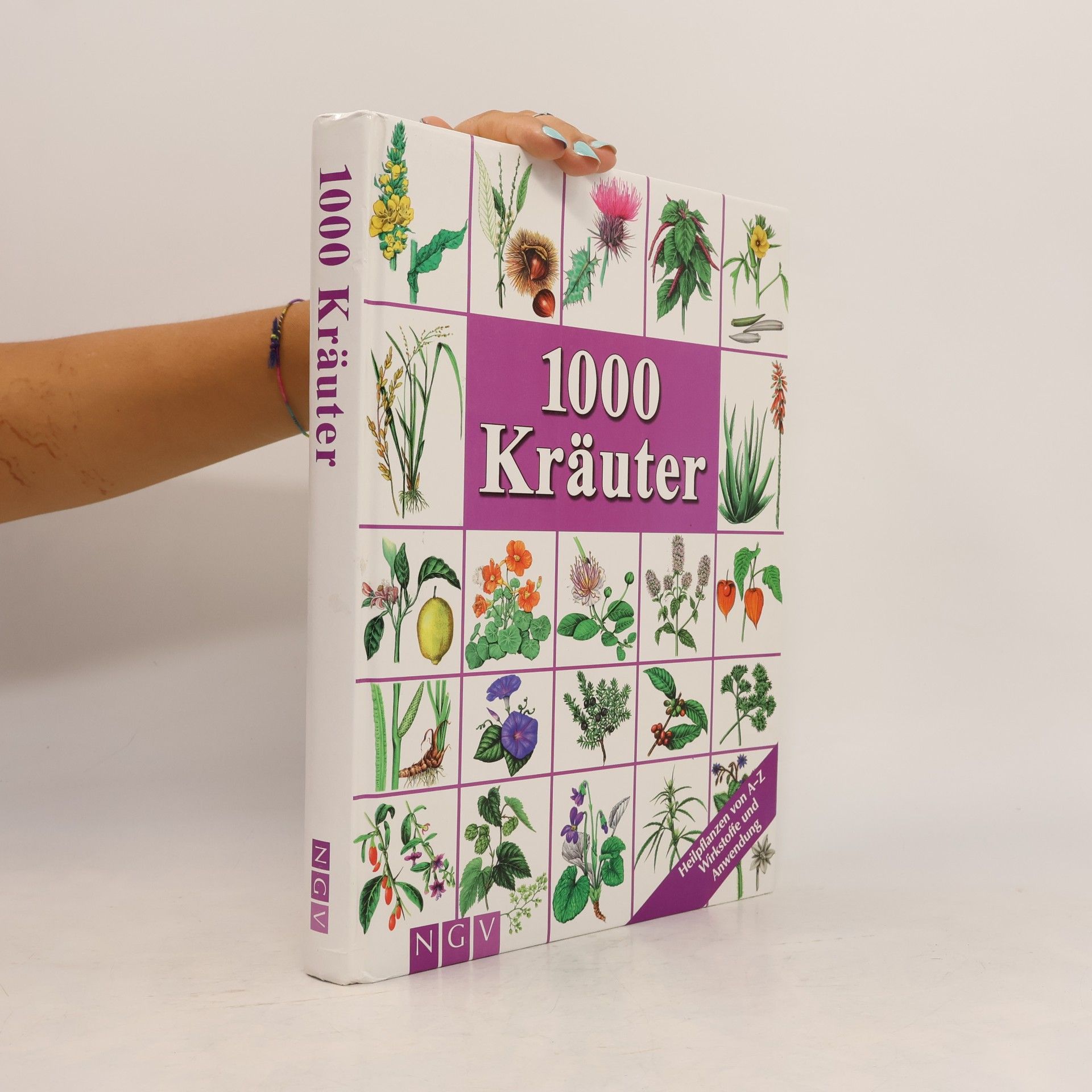 Hans W. Kothe 1000 Kräuter