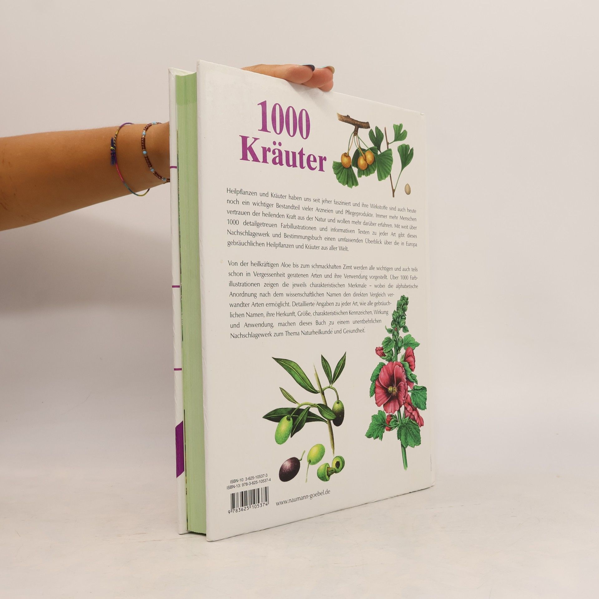 Hans W. Kothe 1000 Kräuter